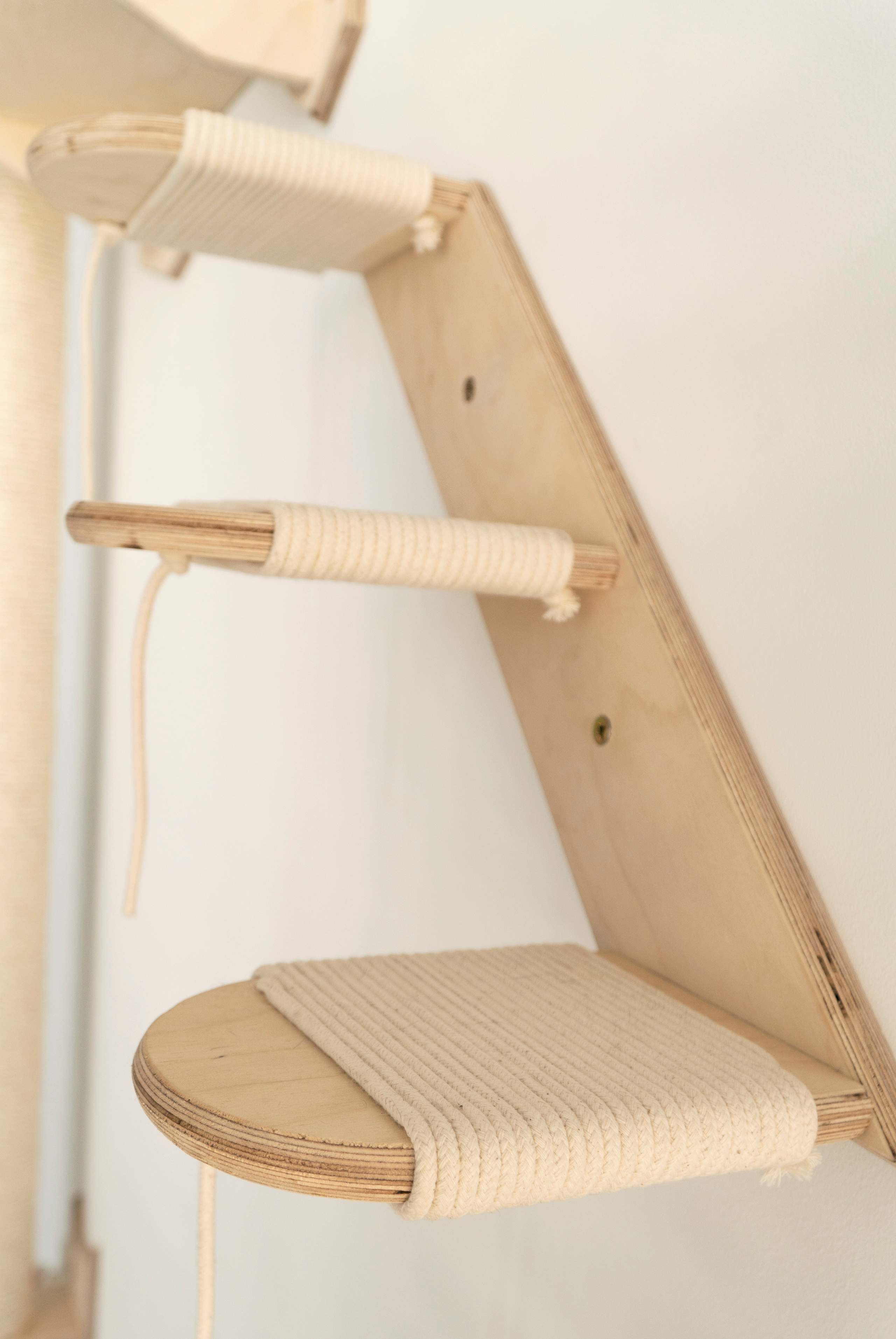 Mr Cat Home. Ellstudio film production