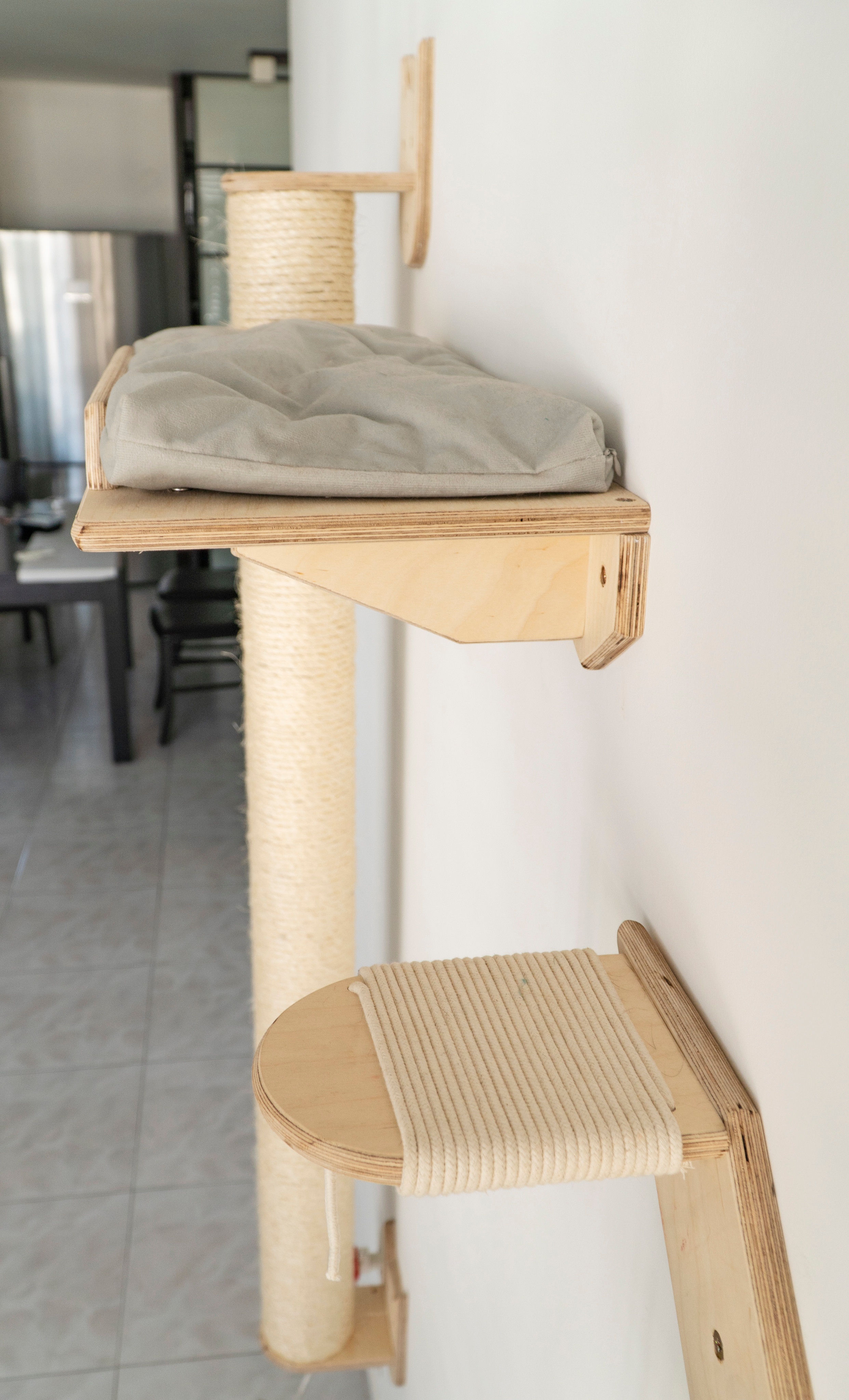 Mr Cat Home. Ellstudio film production