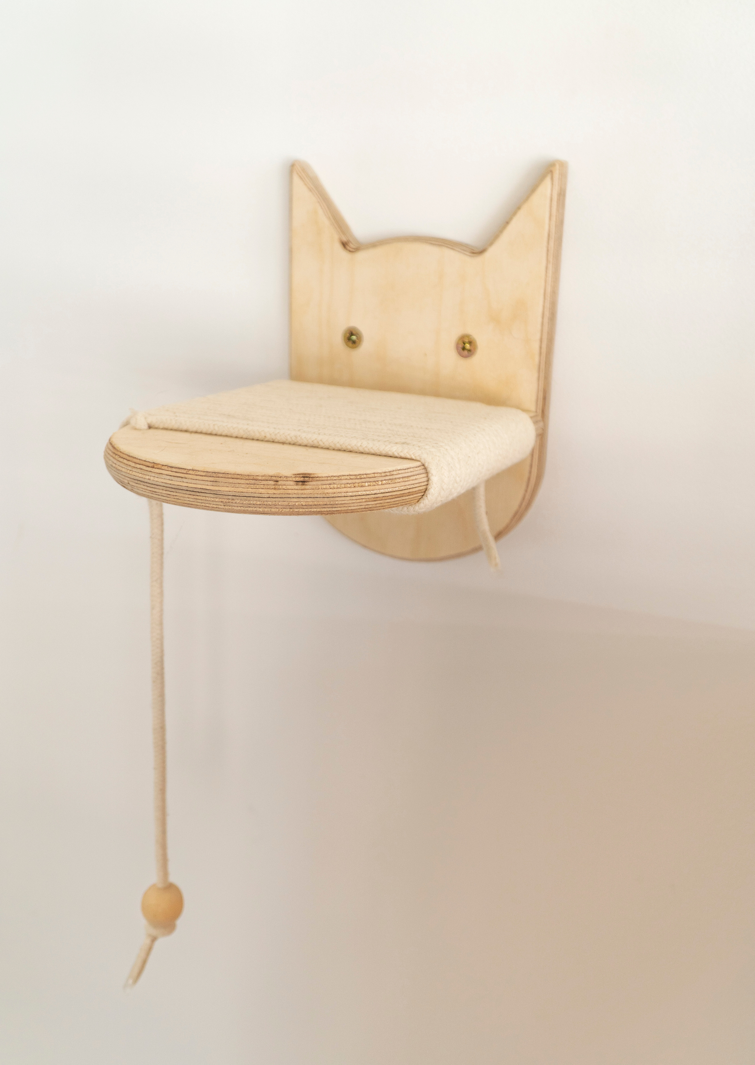 Mr Cat Home. Ellstudio film production