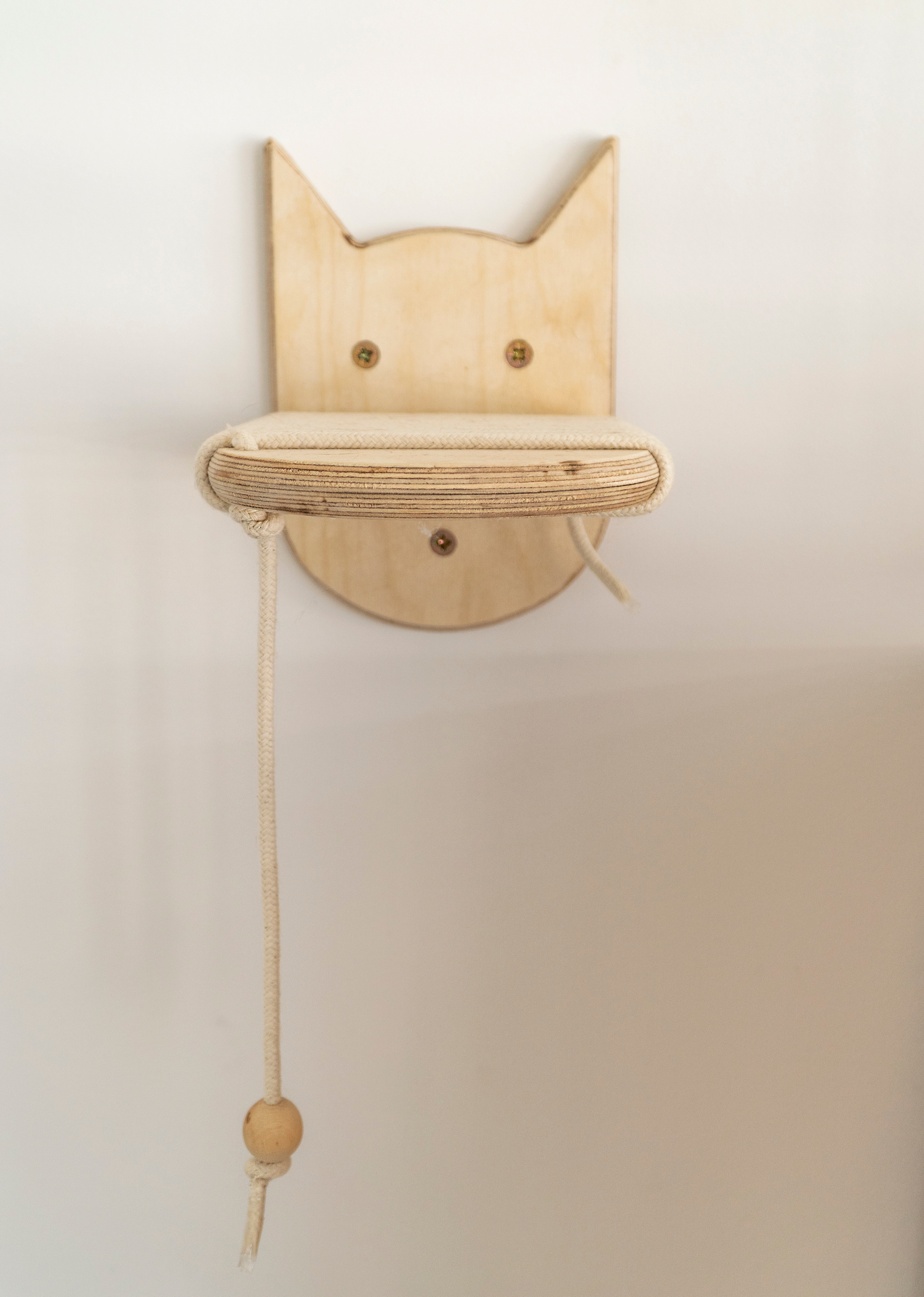 Mr Cat Home. Ellstudio film production