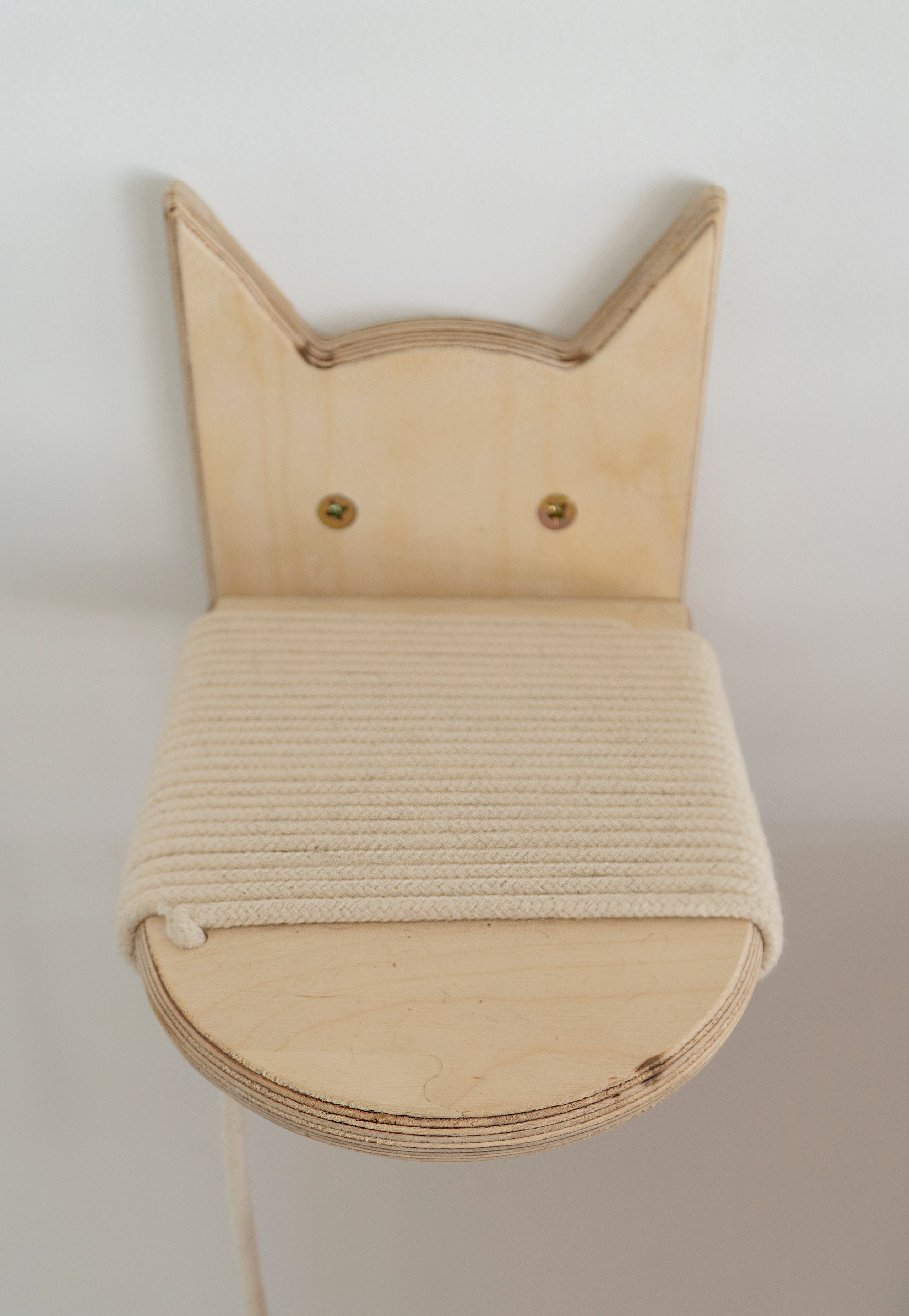 Mr Cat Home. Ellstudio film production