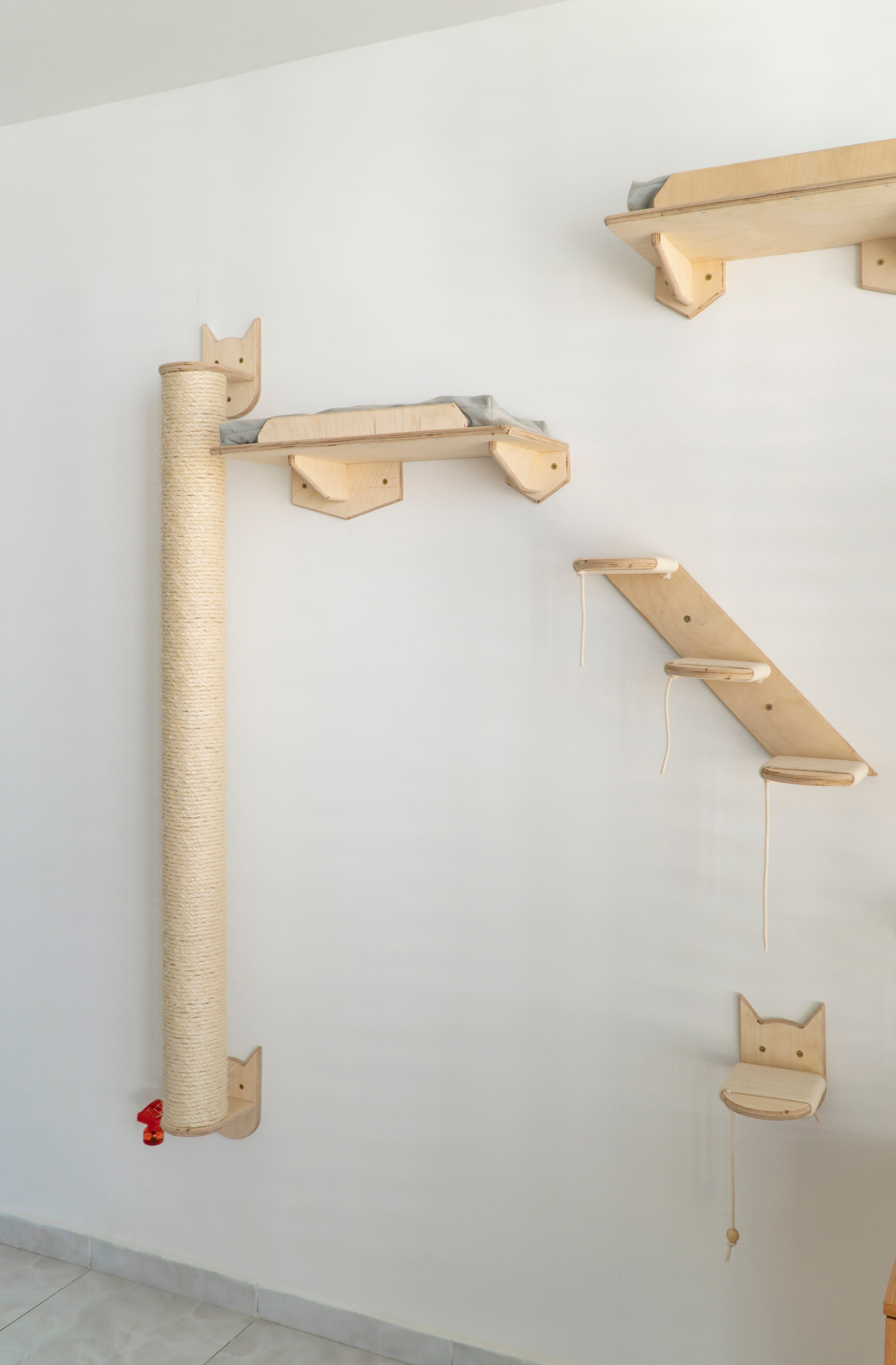 Mr Cat Home. Ellstudio film production