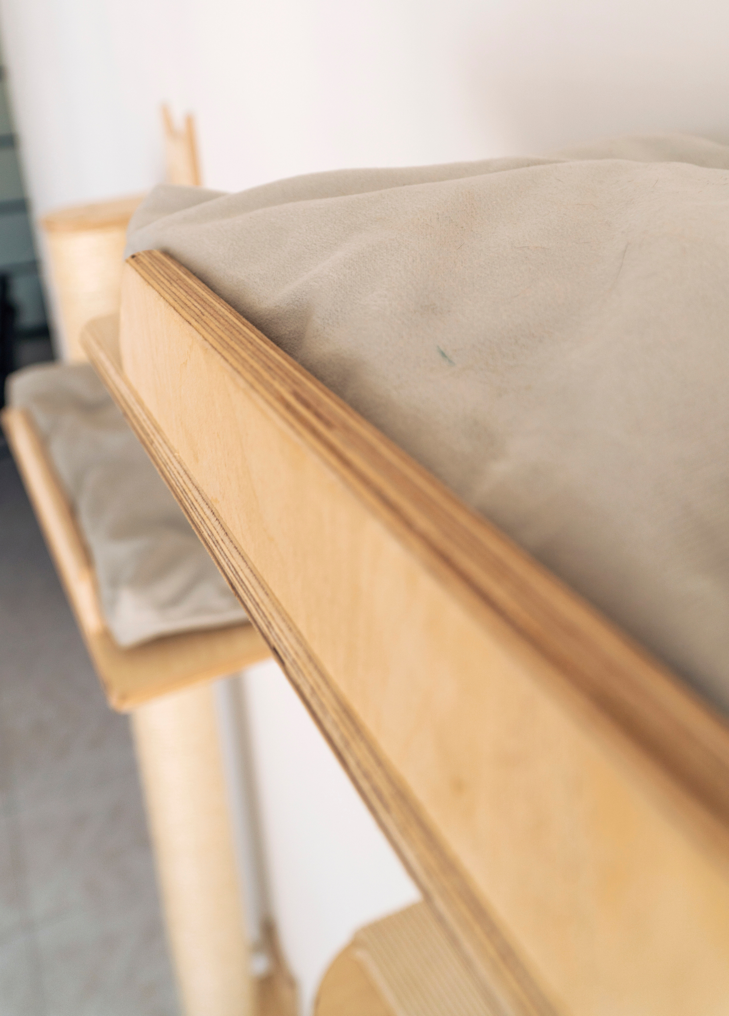 Mr Cat Home. Ellstudio film production