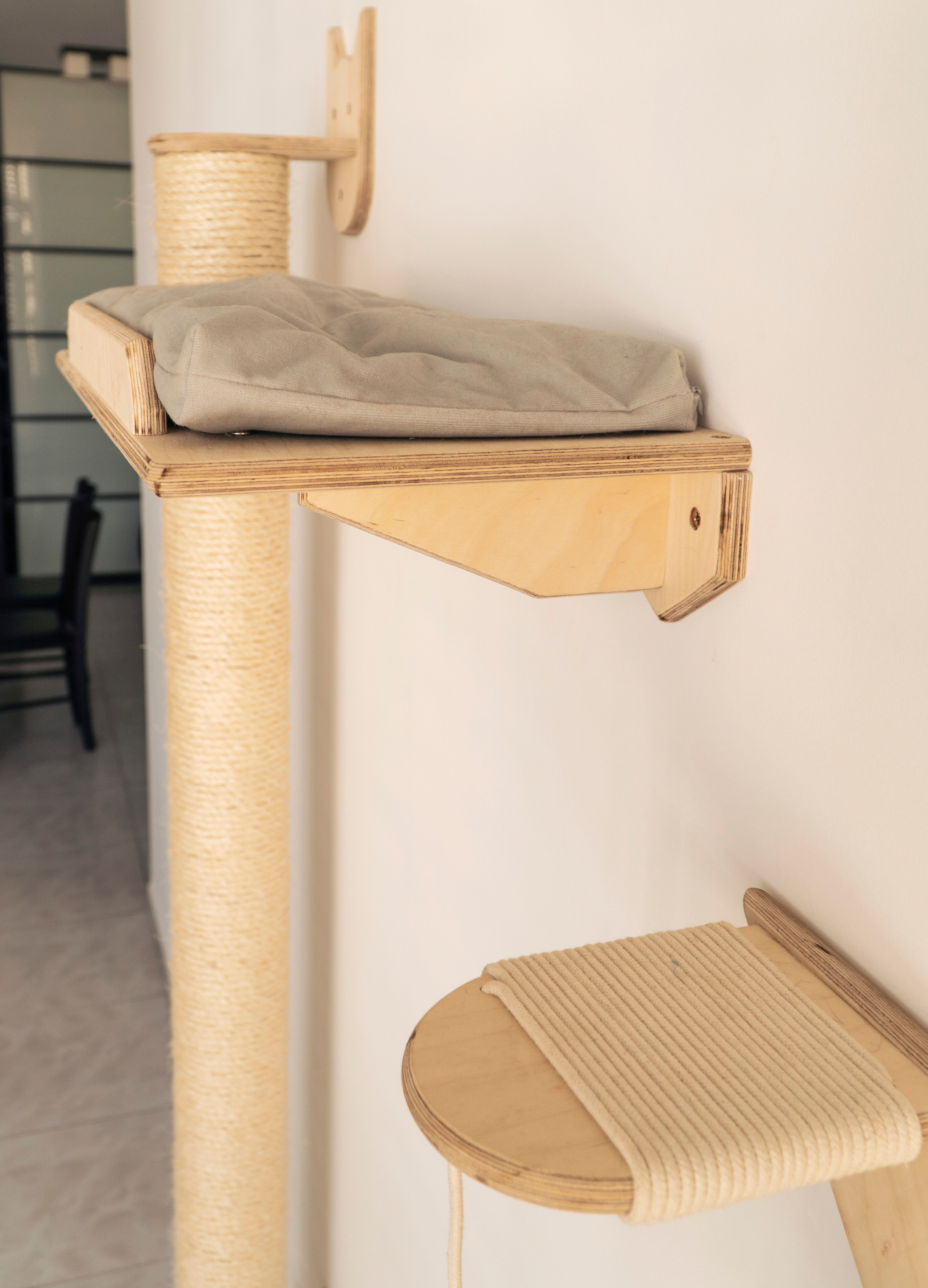 Mr Cat Home. Ellstudio film production