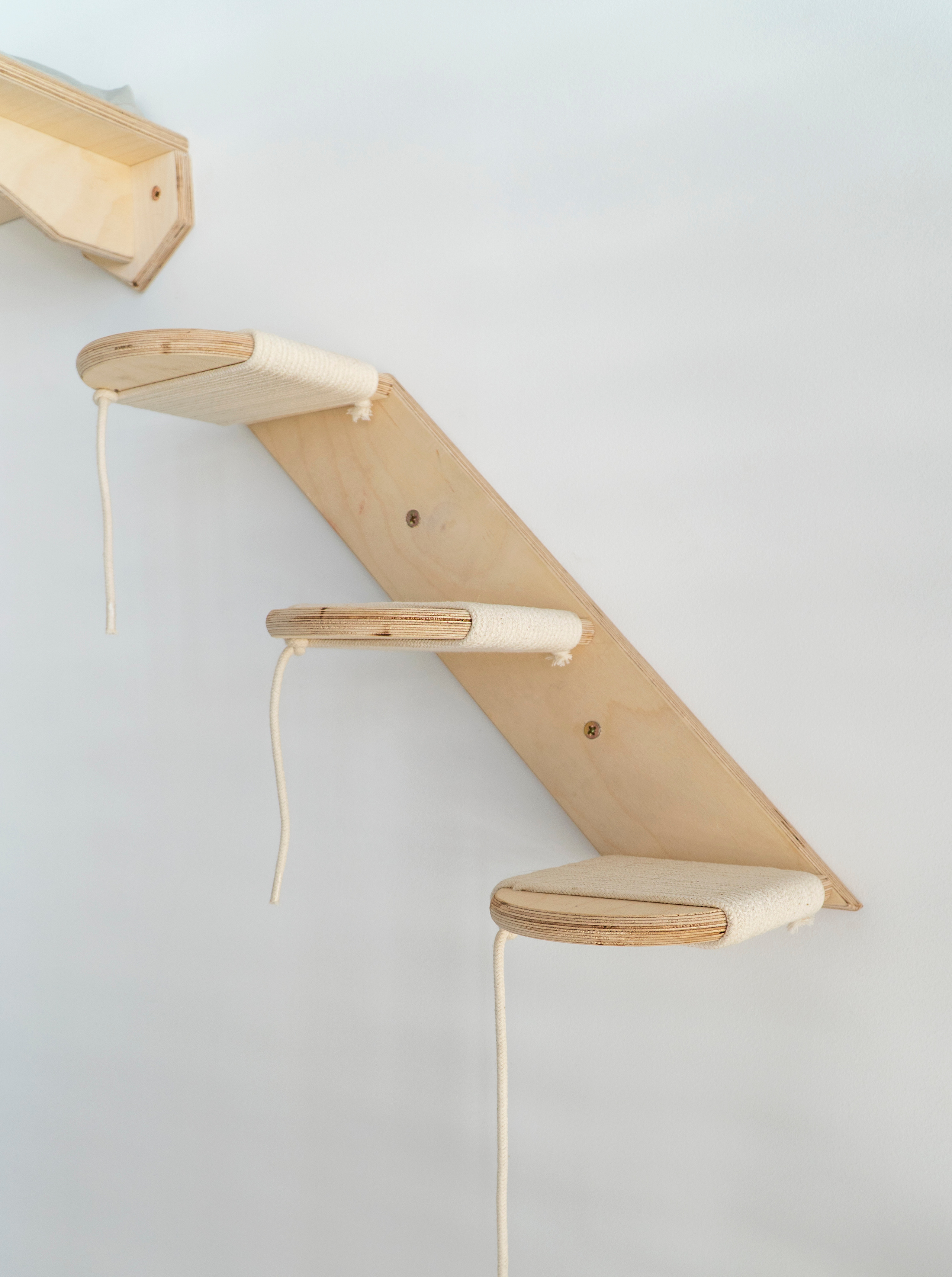 Mr Cat Home. Ellstudio film production