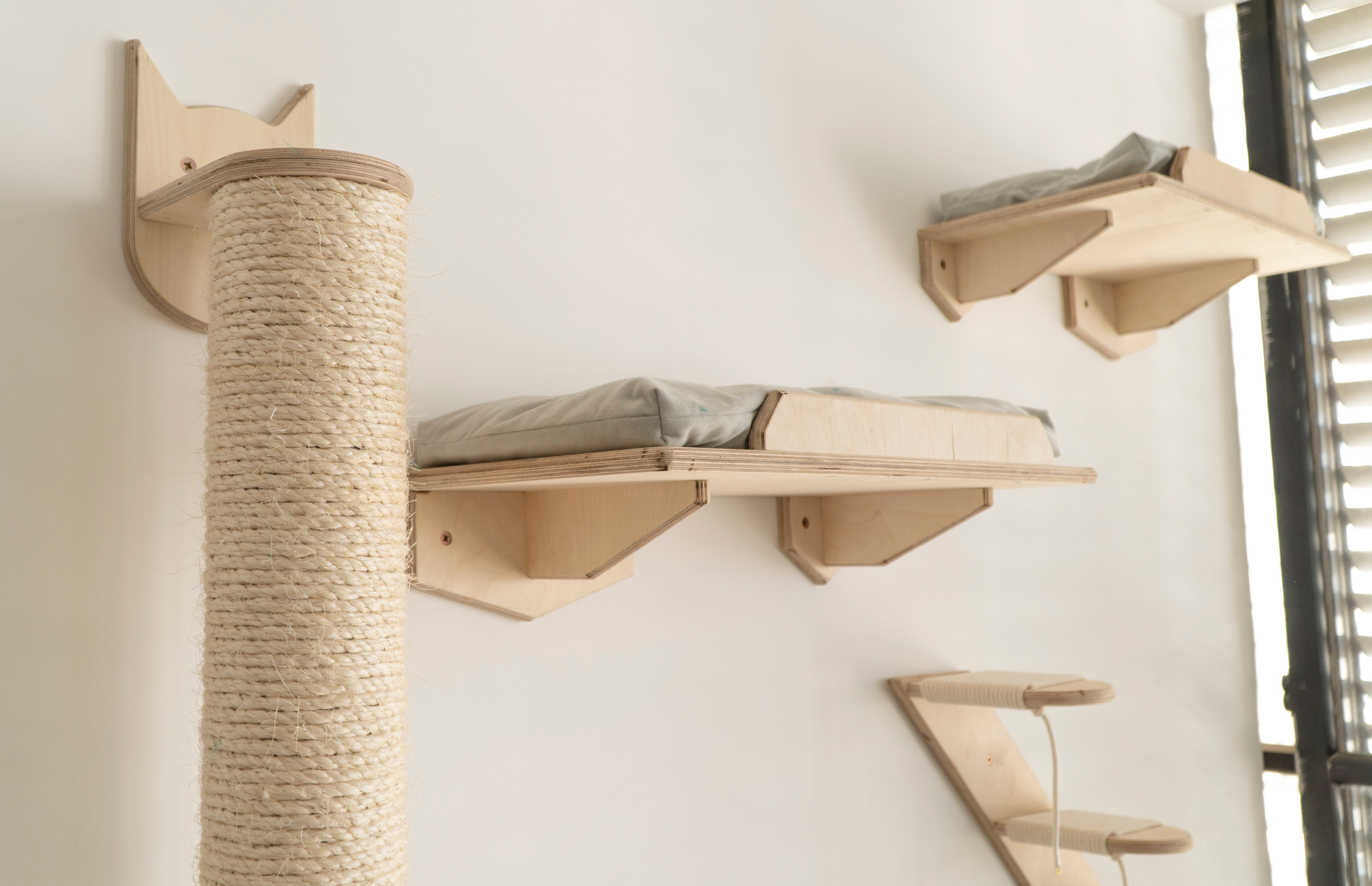 Mr Cat Home. Ellstudio film production