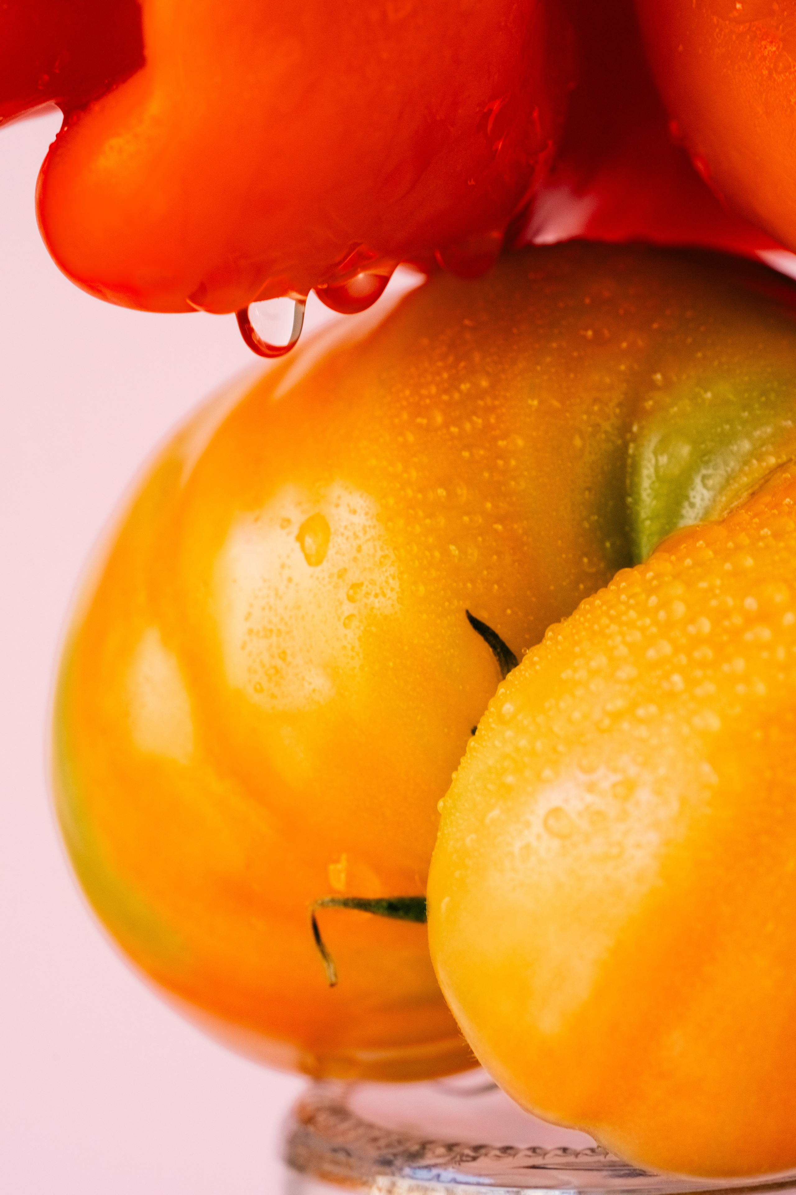 Basil in a bottle. Мария Шер. Профессиональный фотограф в городе Порту, Португалия