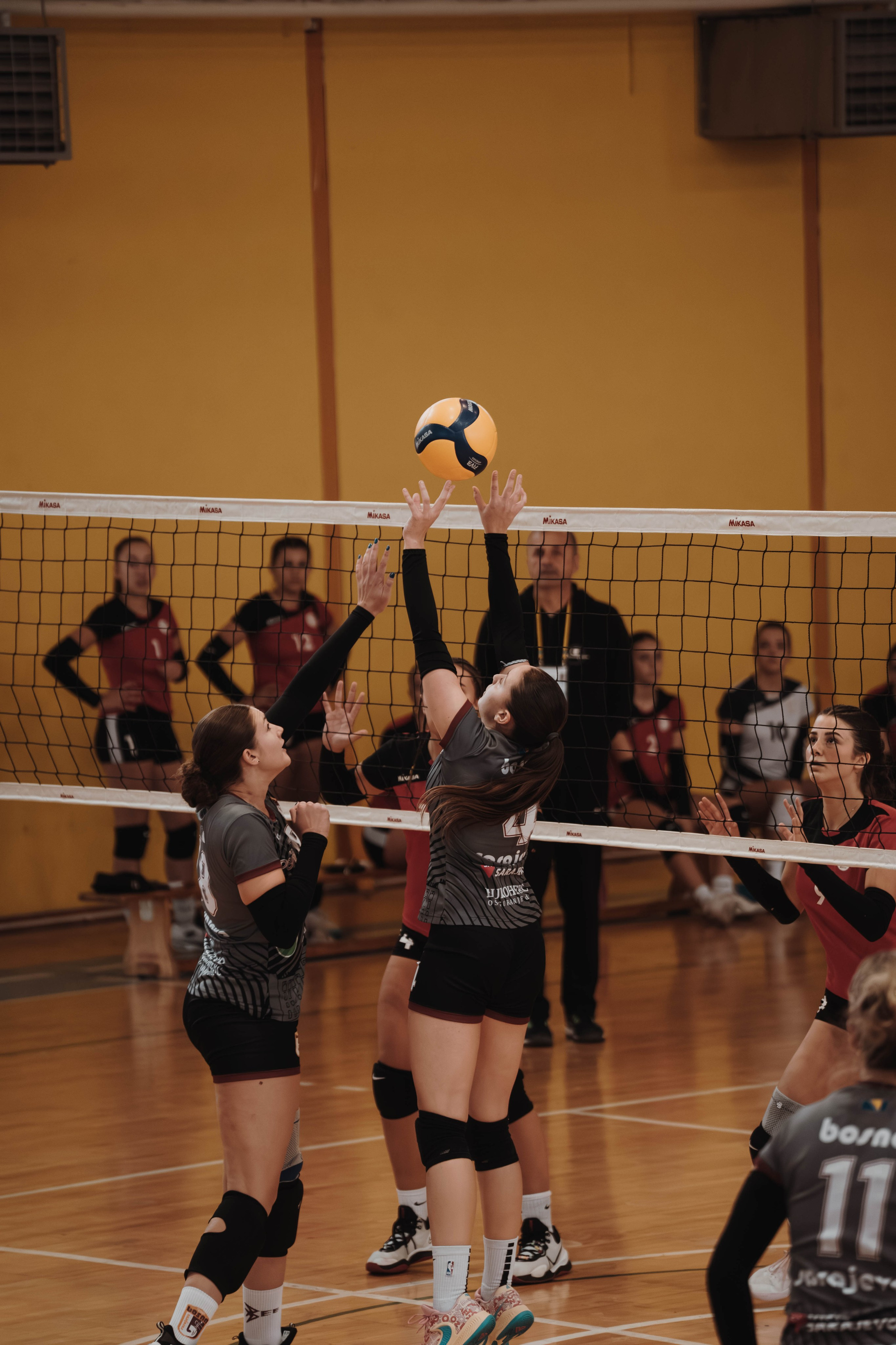 ŽOK Bosna — 2025/2026