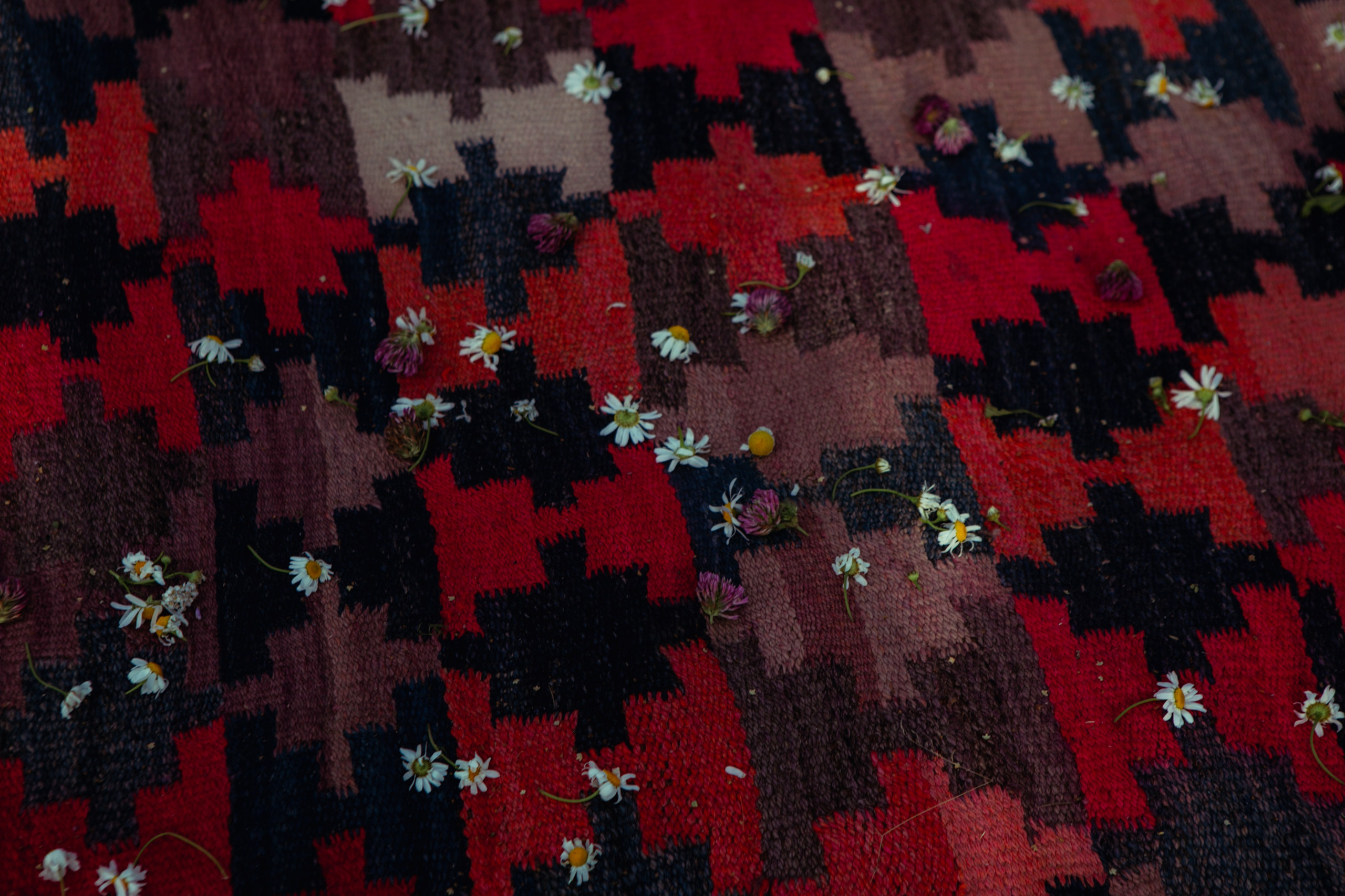 Wedding ceremony Agnese &Aleksandrs. Sandra Garanca Portrait and event photographer