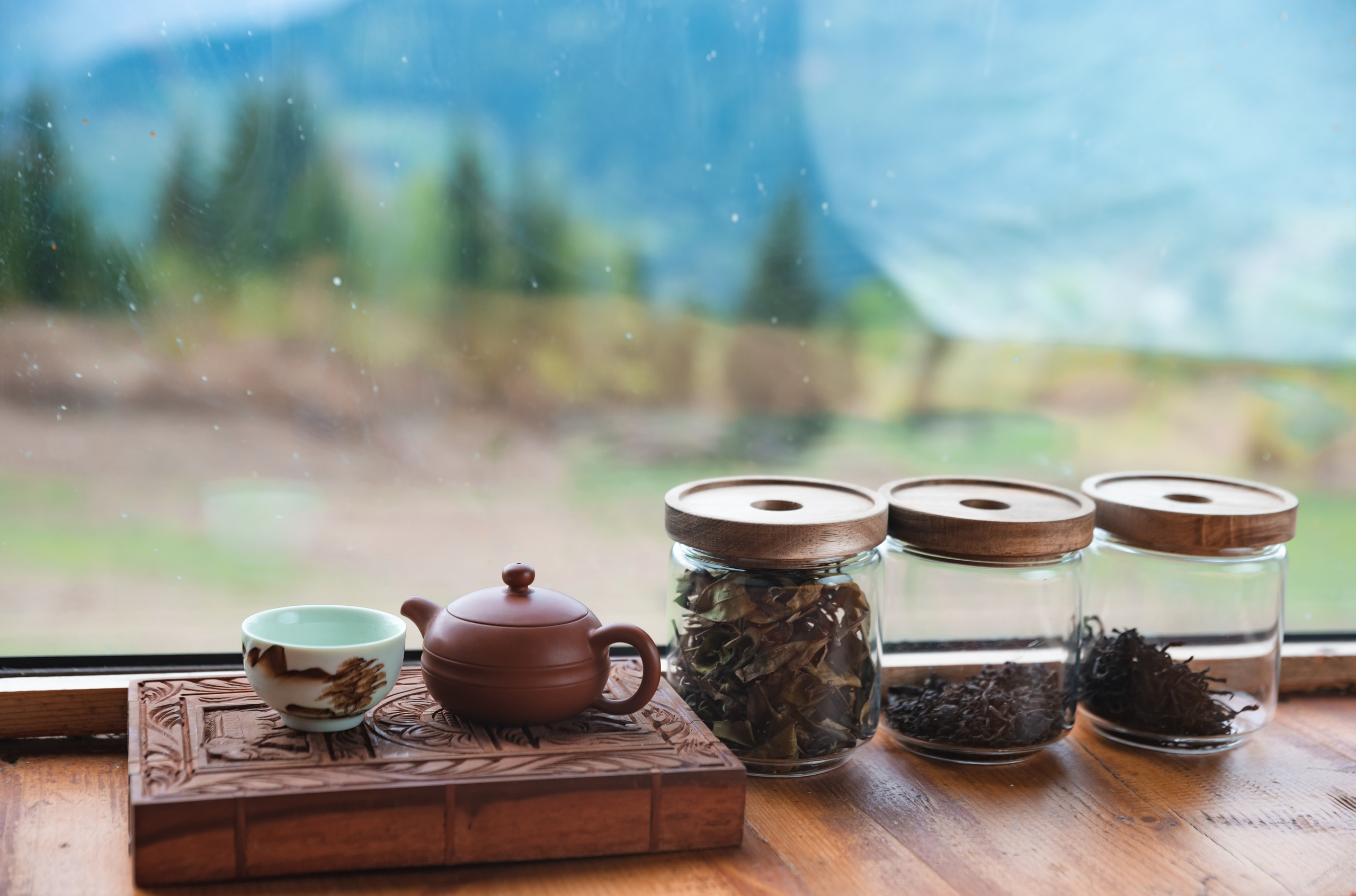 DAO Space. Ekaterina Verbitskaya. Photography