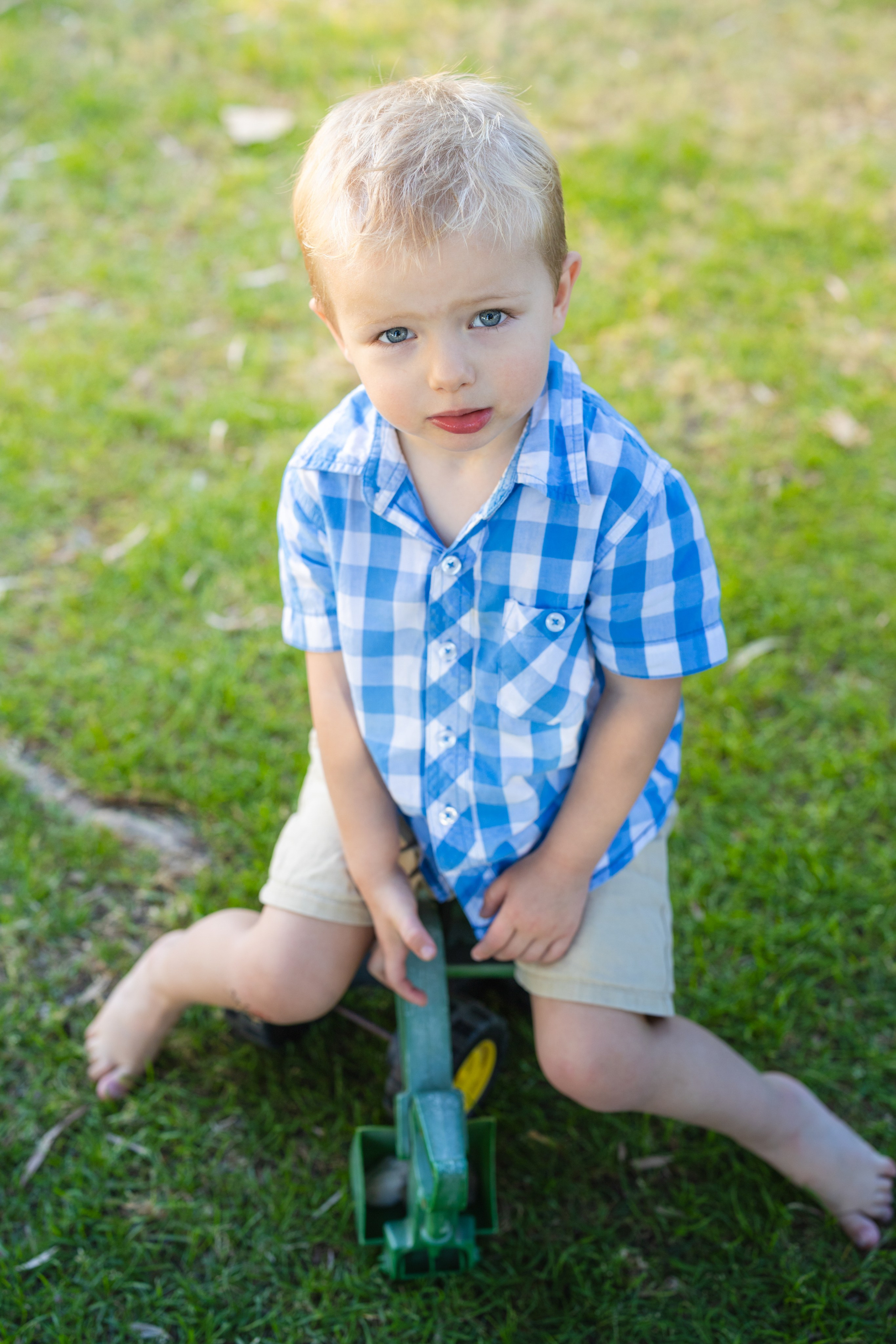 Photos from different family photoshoots