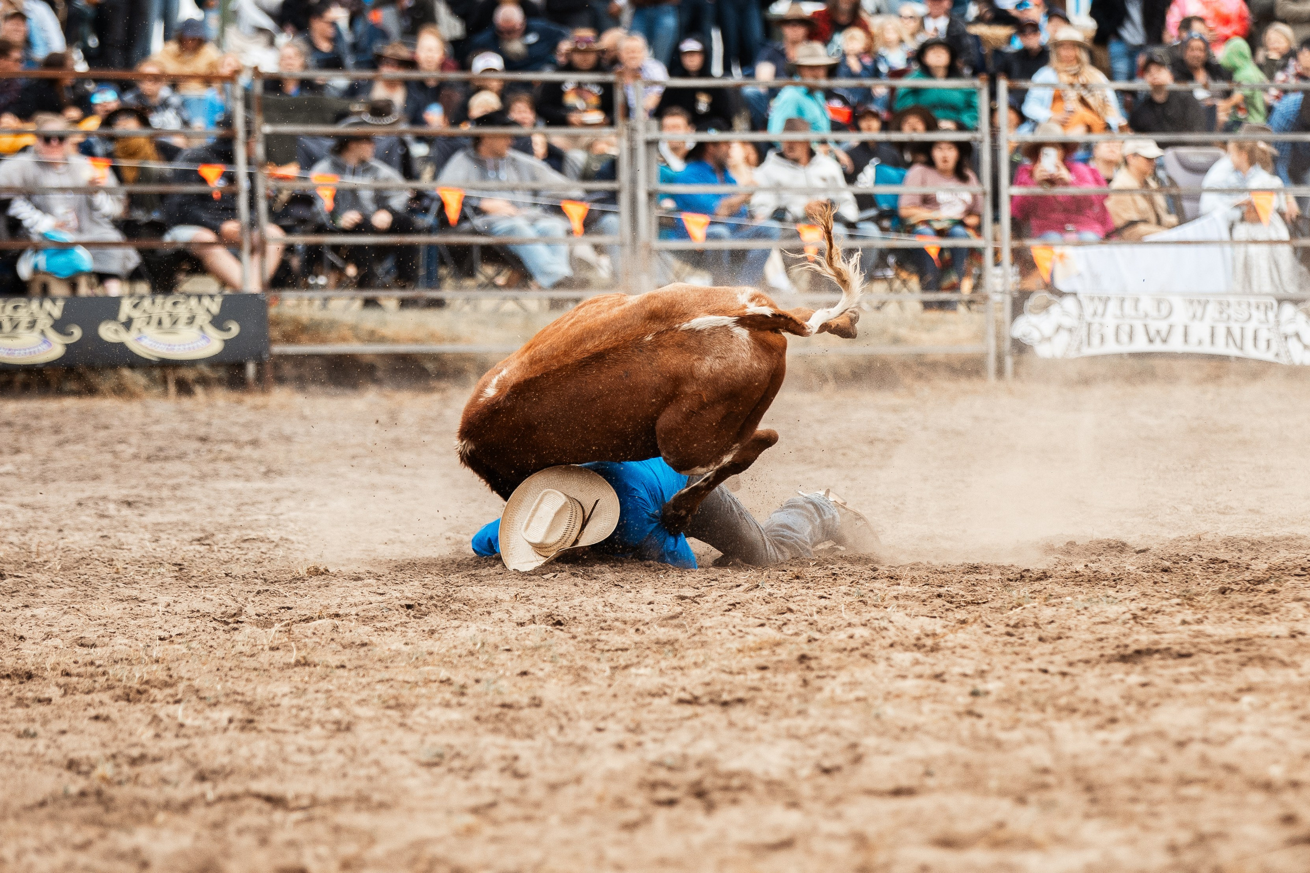 Selection of photos from different rodeos