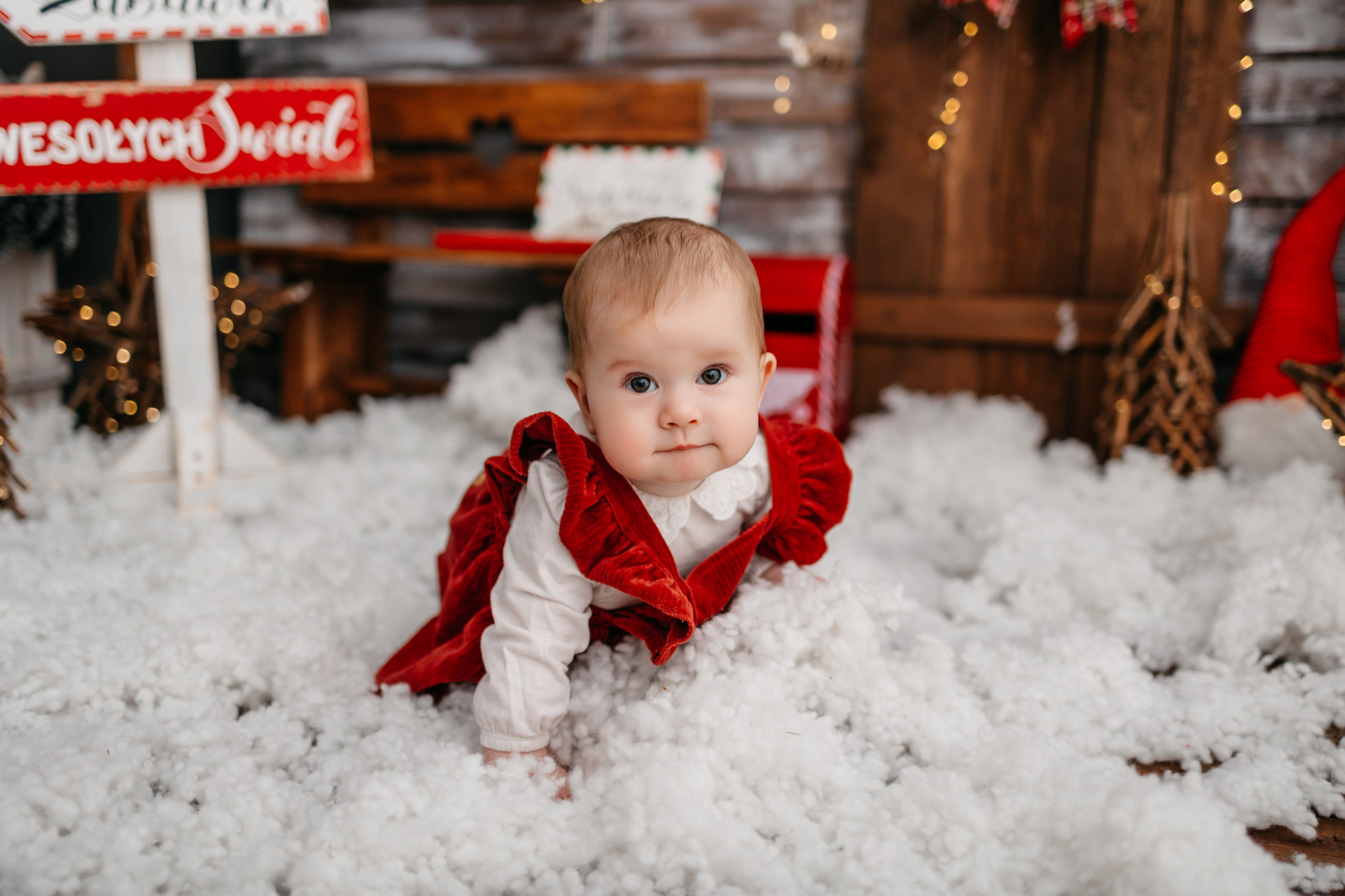 Boże Narodzenie 2023. Fotograf Siedlce