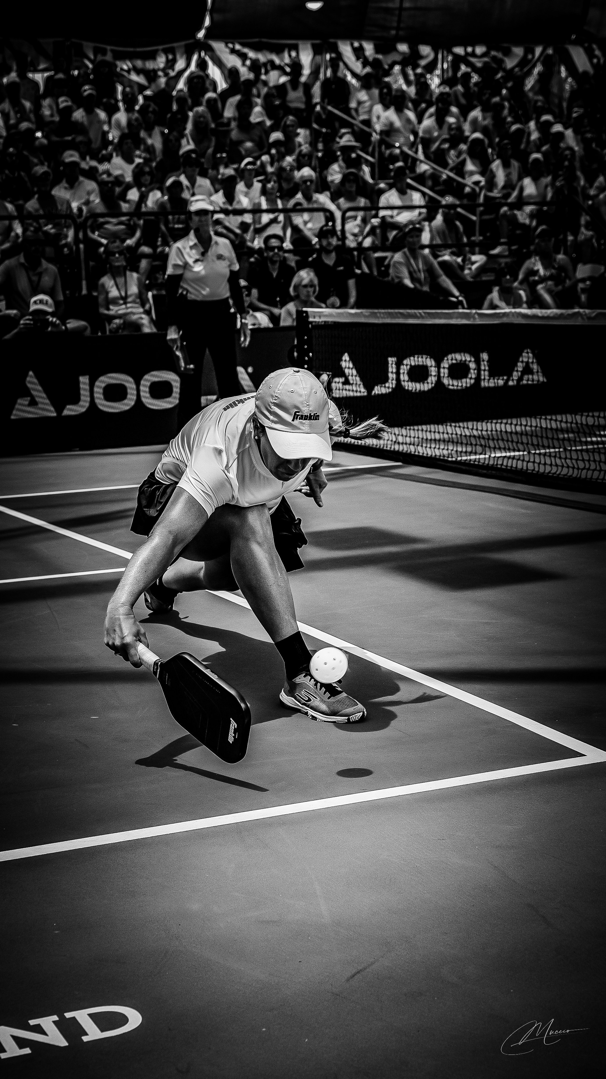 Sports Noir. Out and About 239