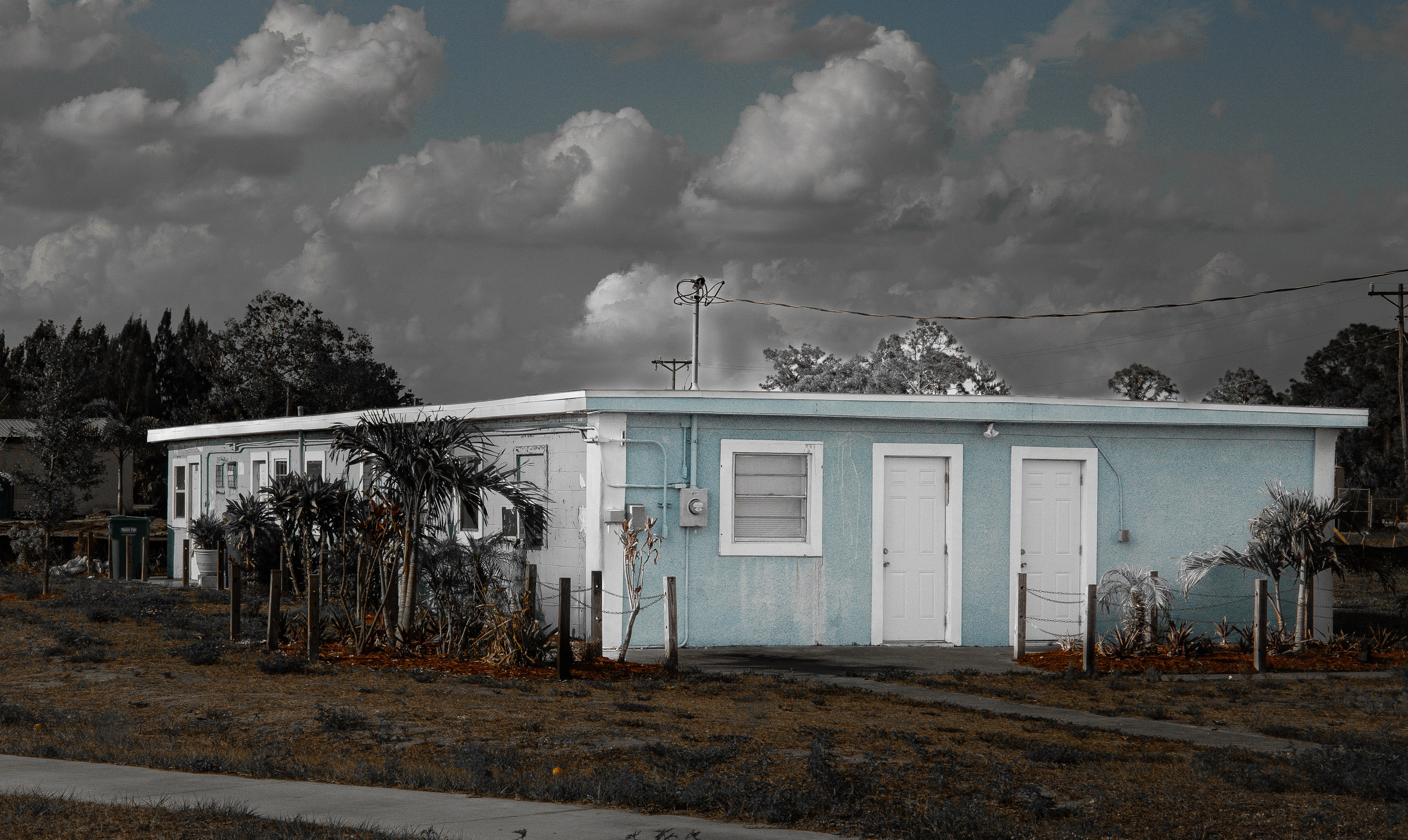 Americana — Immokolee. Out and About 239