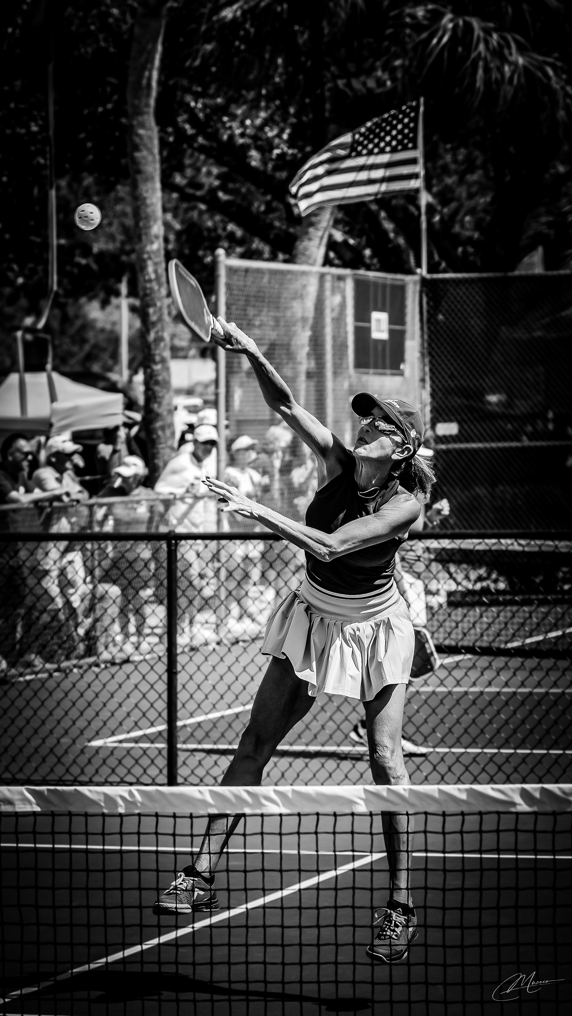 Sports Noir. Out and About 239