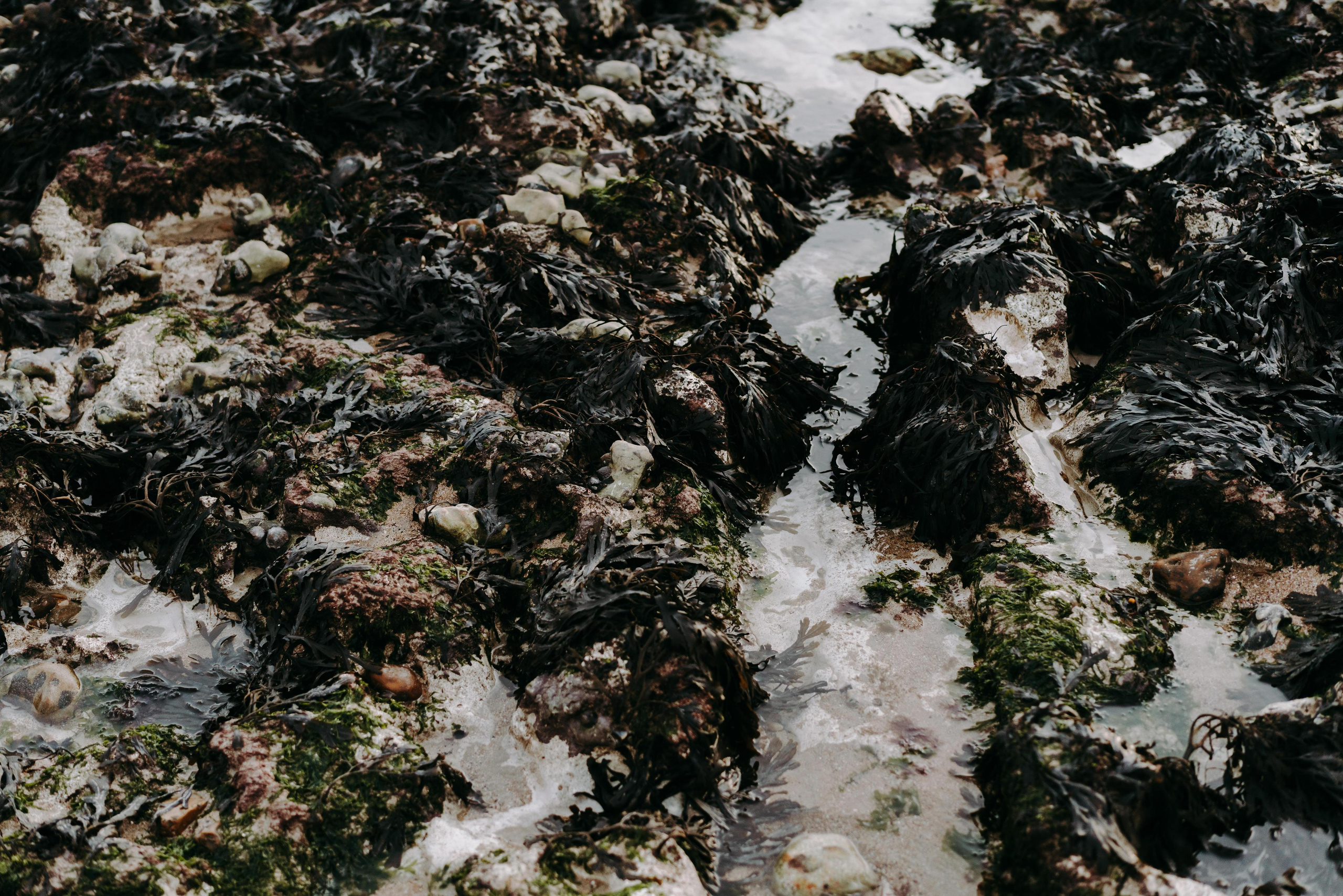 Fashion portrait session at seven sisters. London portrait and family photographer