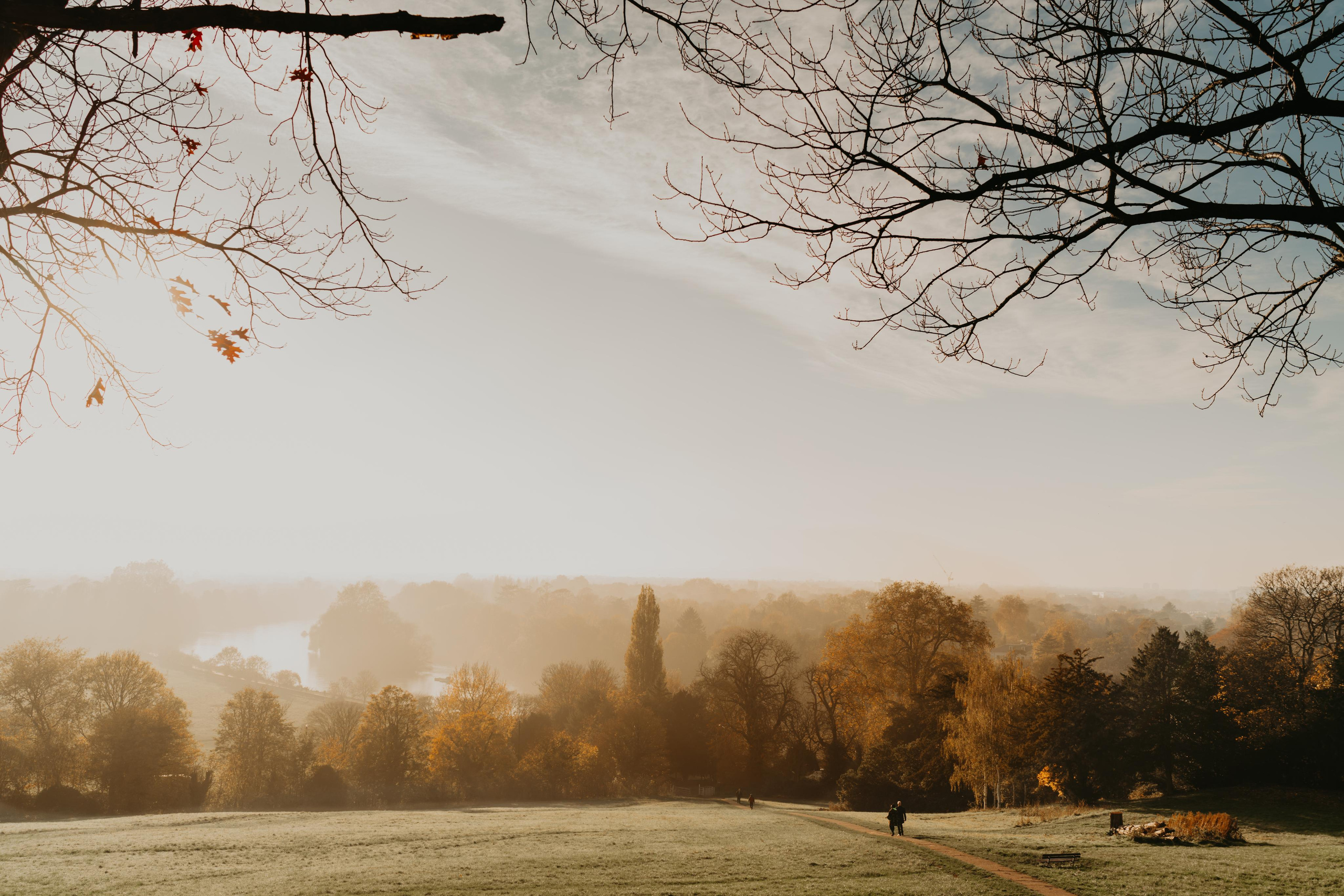 Engagement session in Richmond Park. London portrait and family photographer