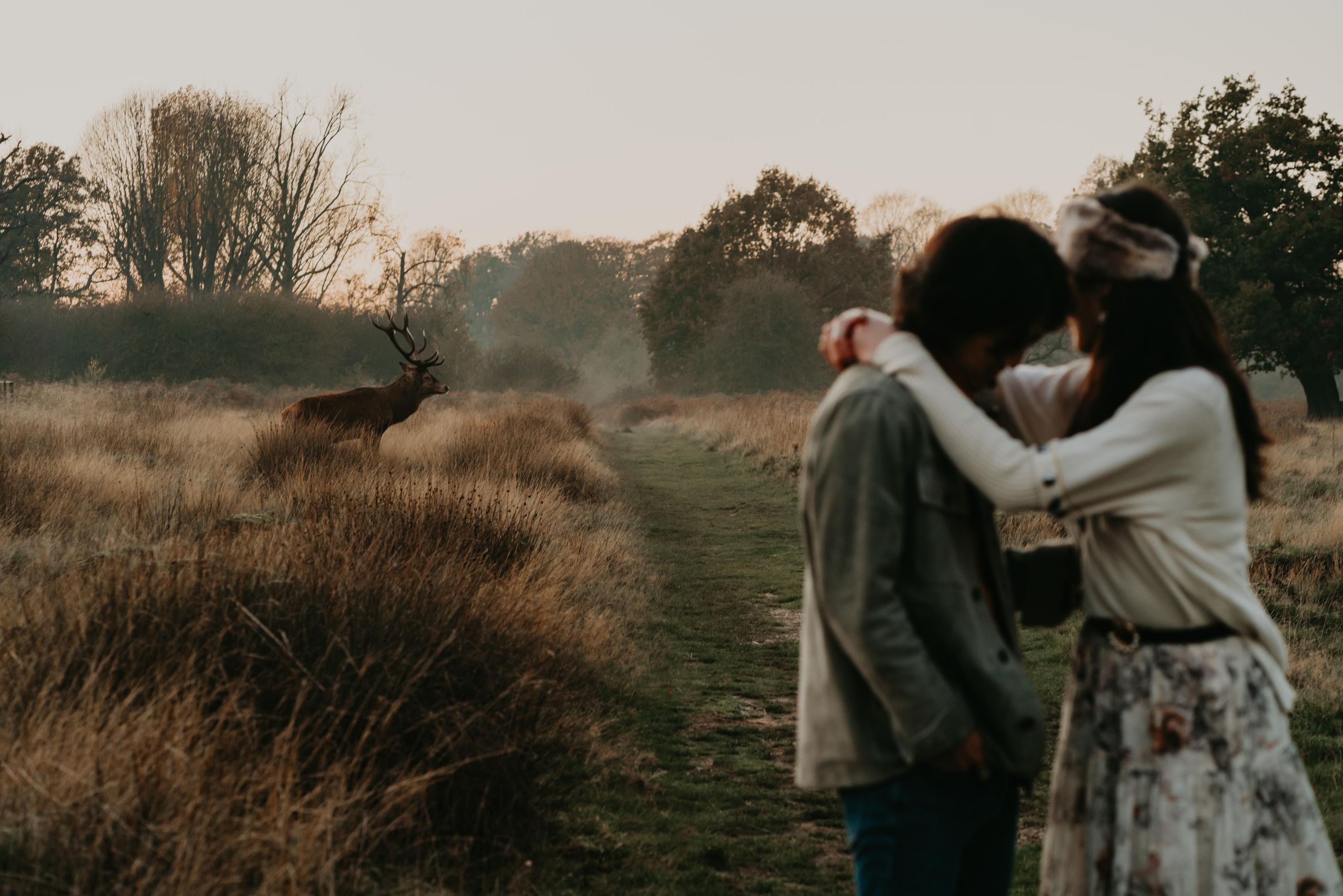 Engagement session in Richmond Park. London portrait and family photographer