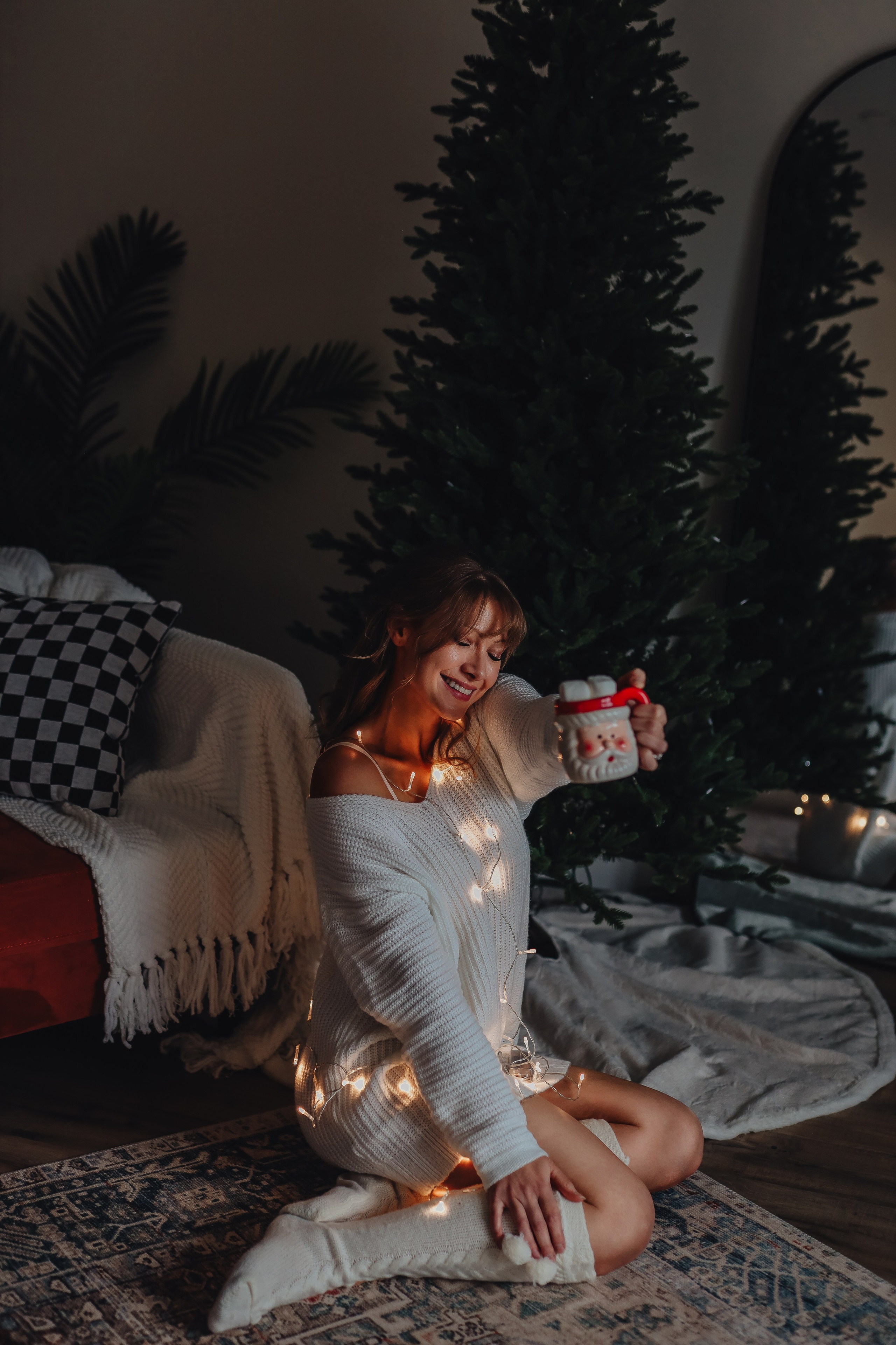 Christmas minis. Ellen Litvinova photography