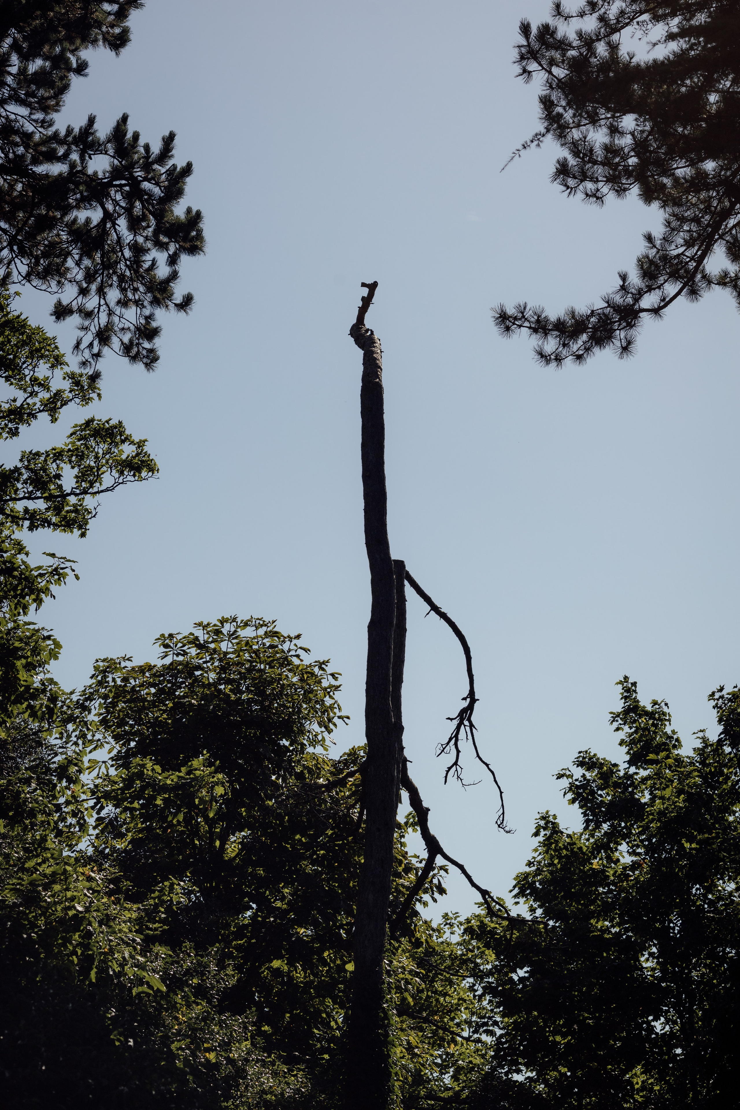 Chloe & Andre -The Manor Elstree, Hertfordshire. Timeless Wedding & Event Photography from London to the world