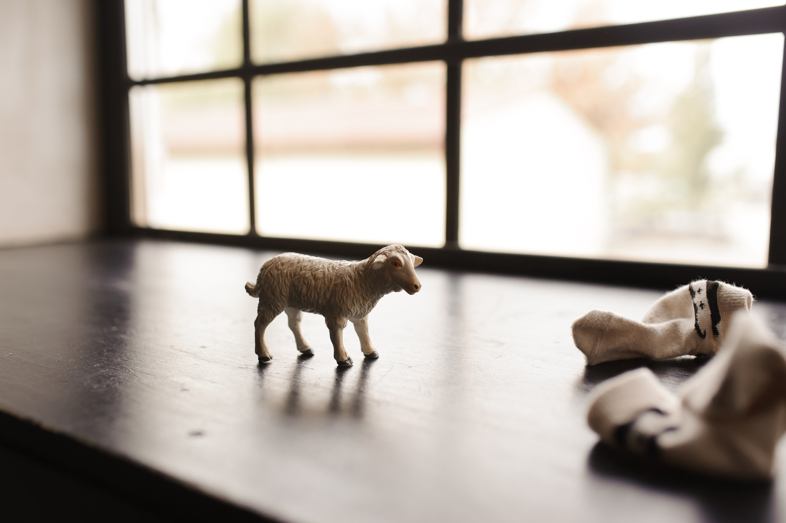 Olga & Kirill & Simeon. Familien- und Hochzeitsfotografin. Ich arbeite in Koblenz und Rheinlan