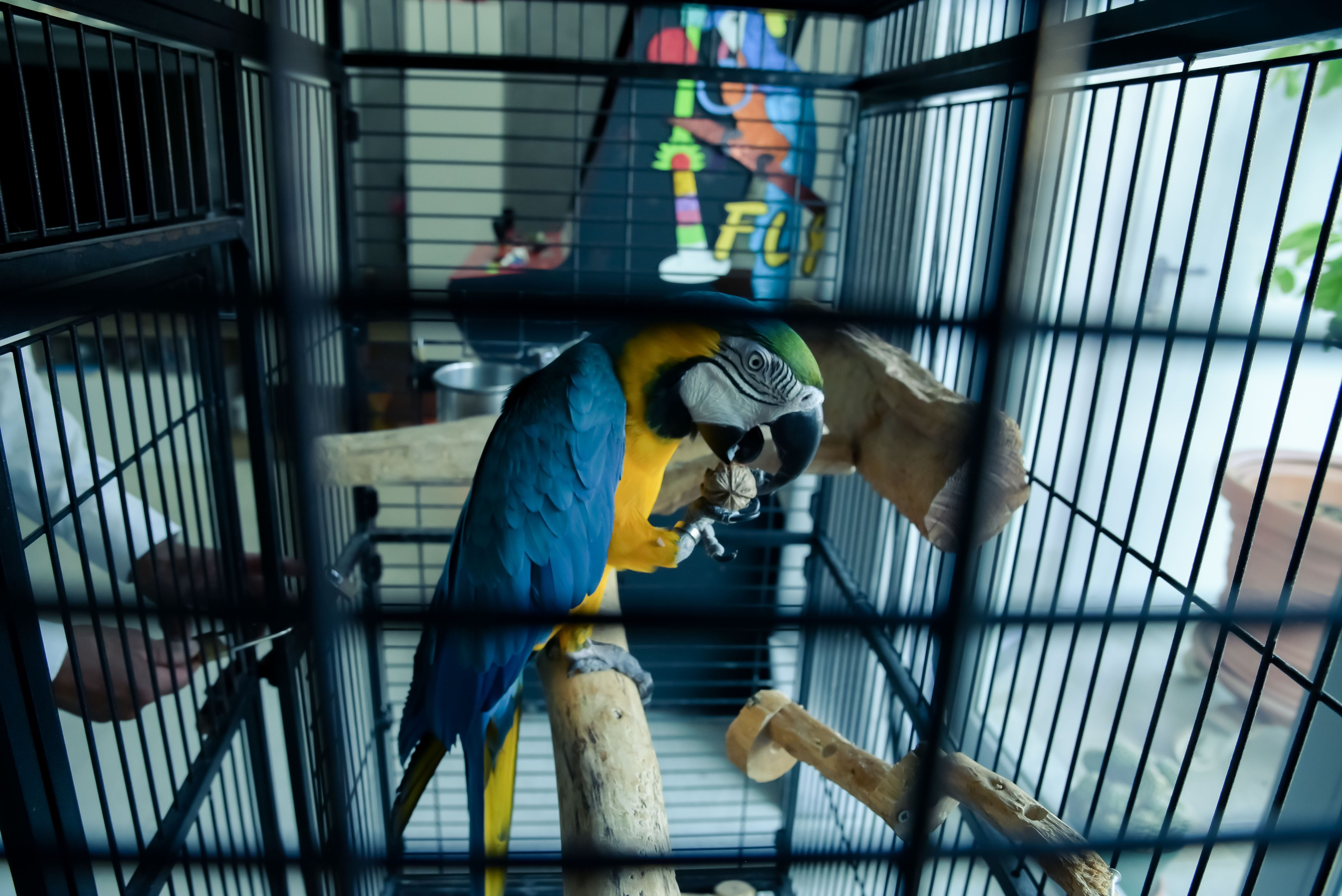 Francesca_la festa dei 18 anni_ 1parte