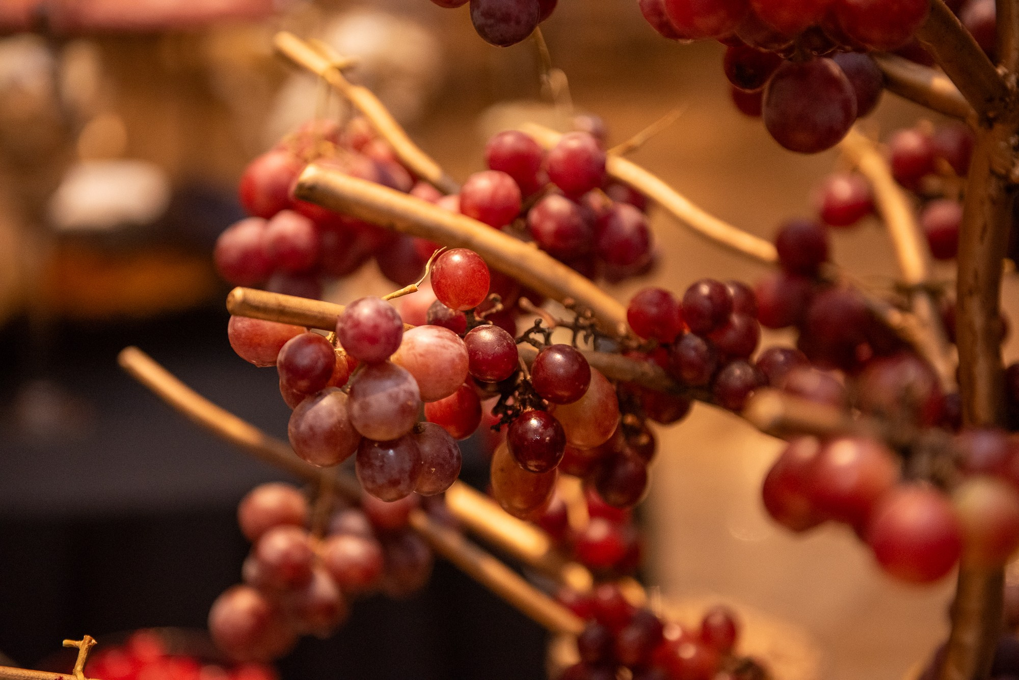 Clube dos Corretores de Seguros do ABC. 78 Imagens