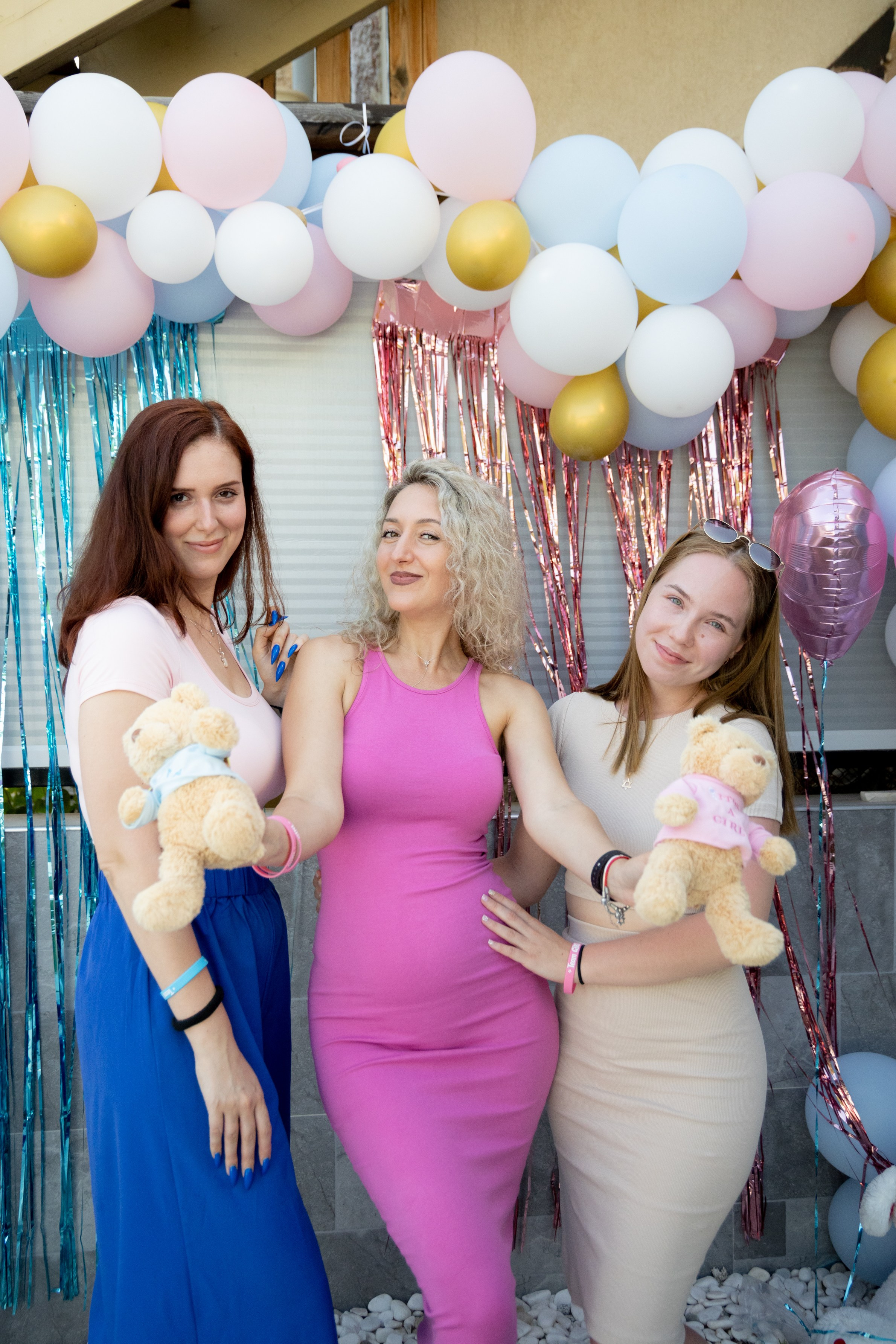 Gender Party for Alina and Michael. Home