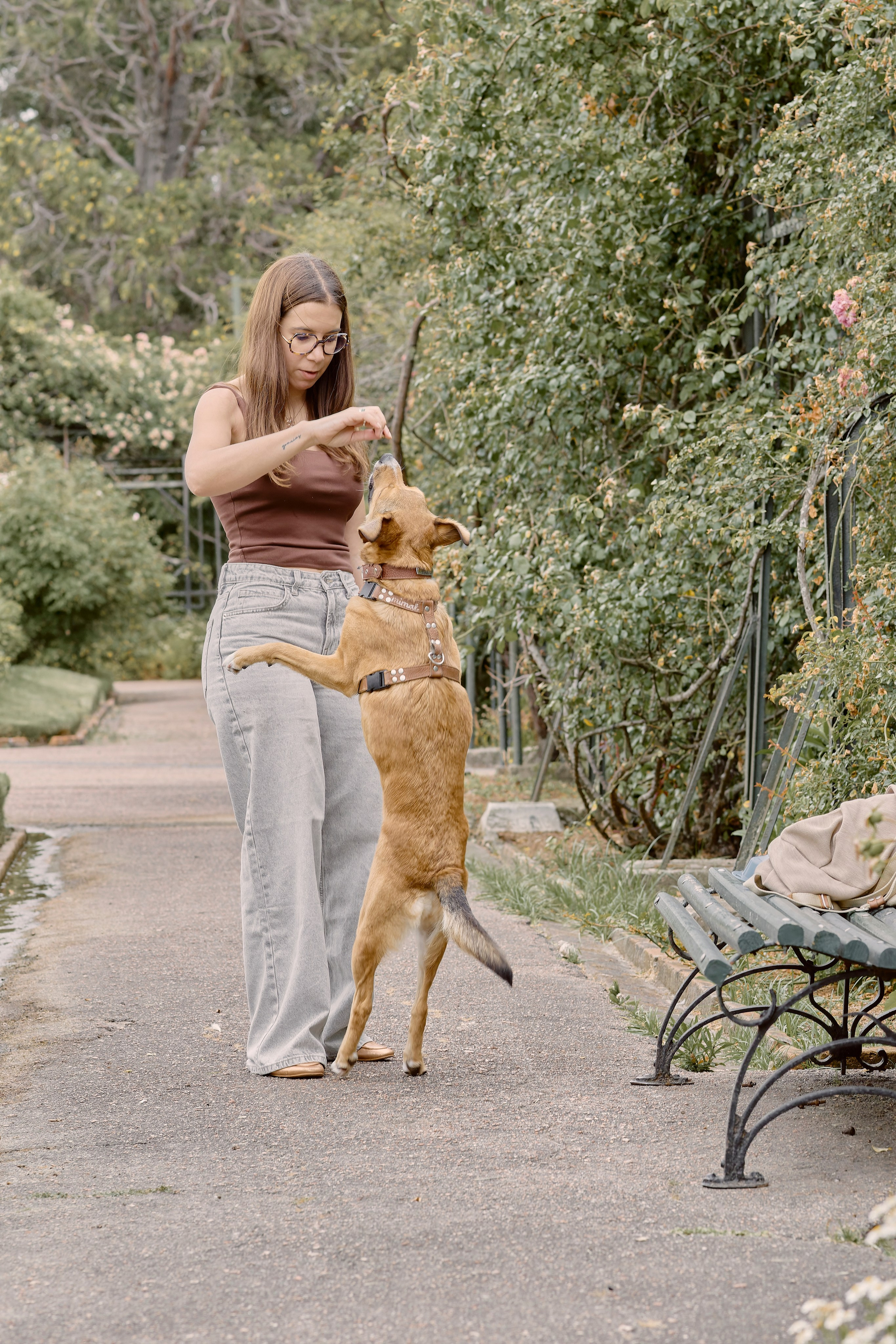 Tatiana & Hugo. Valssy – Fotografía de mascotas en Uruguay. Retratos profesionales de perros y gatos