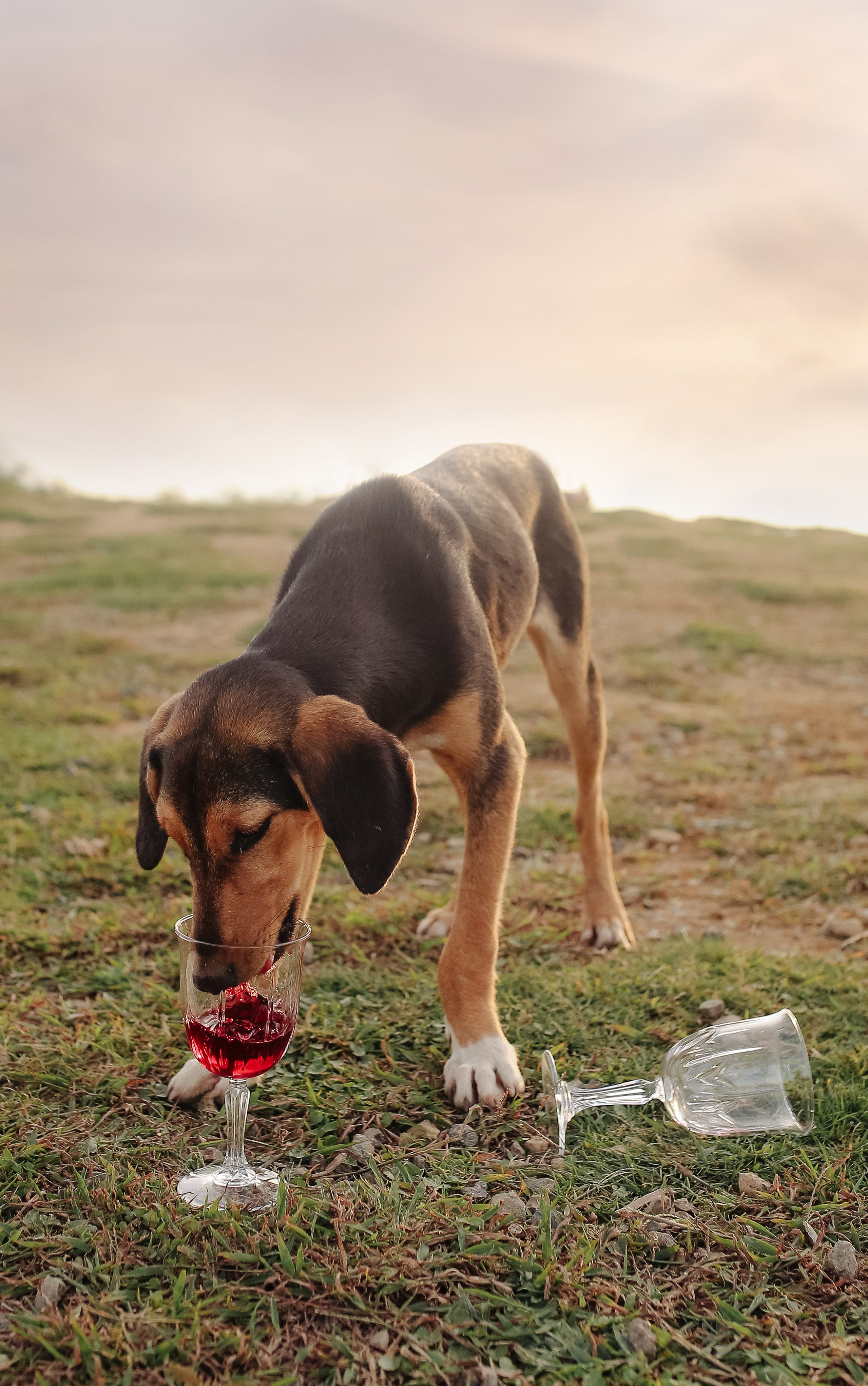 Свадебная съемка. Свадебный, семейный и детский фотограф в Беларуси и за ее пределами