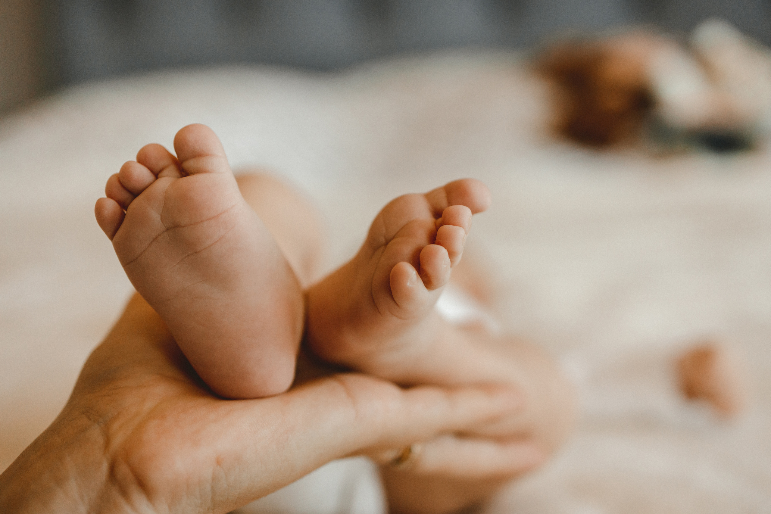 Маленький Давид. Фотограф в Германии — Мария Чистякова