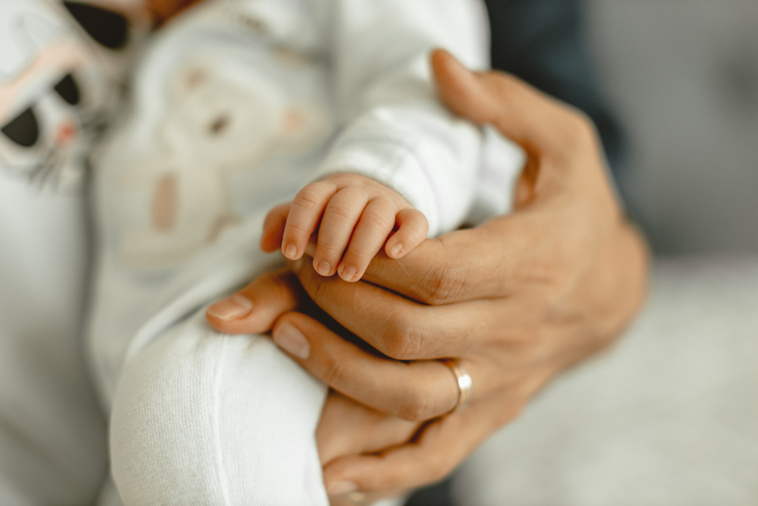 Маленький Давид. Фотограф в Германии — Мария Чистякова