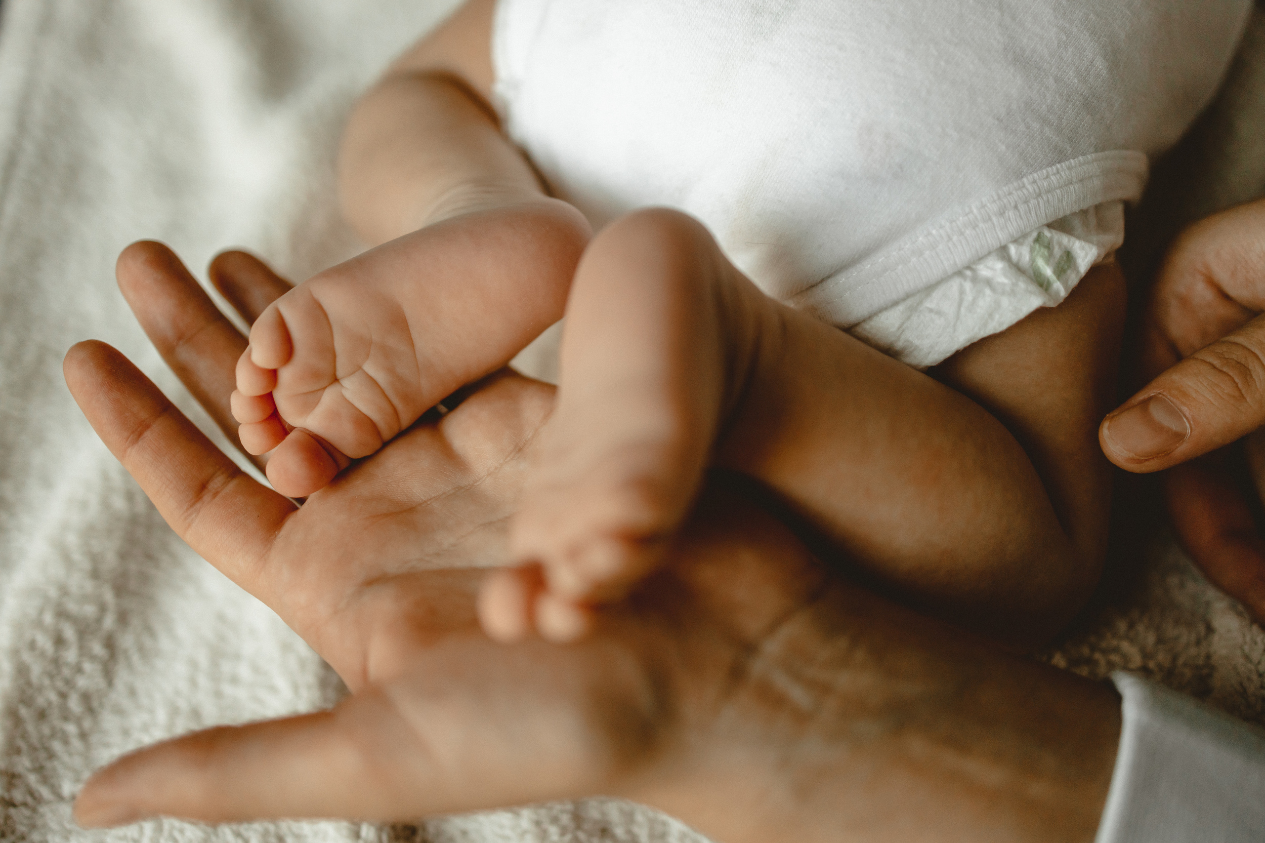 Маленький Давид. Фотограф в Германии — Мария Чистякова