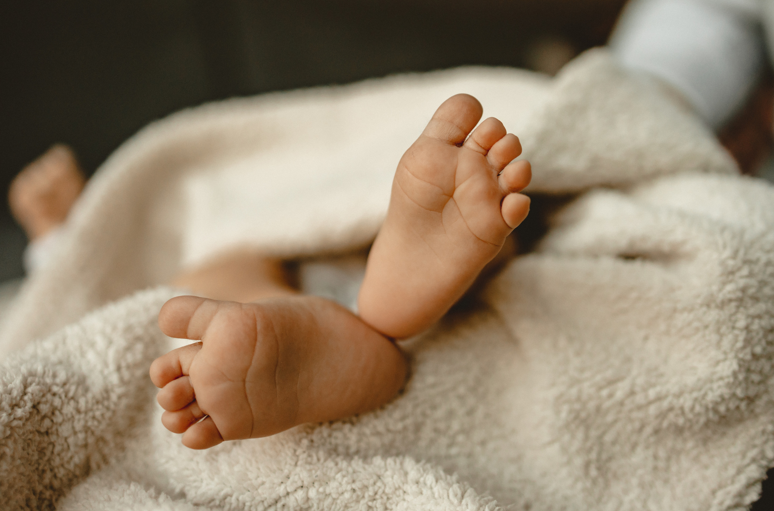 Маленький Давид. Фотограф в Германии — Мария Чистякова