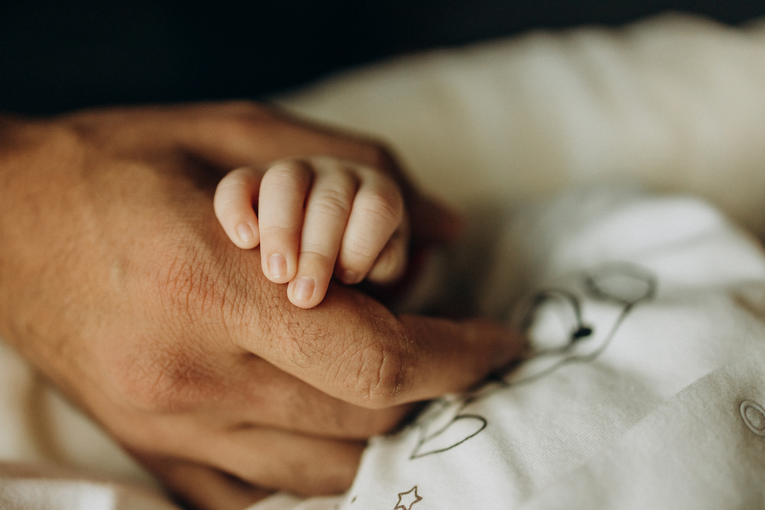 Маленький Давид. Фотограф в Германии — Мария Чистякова