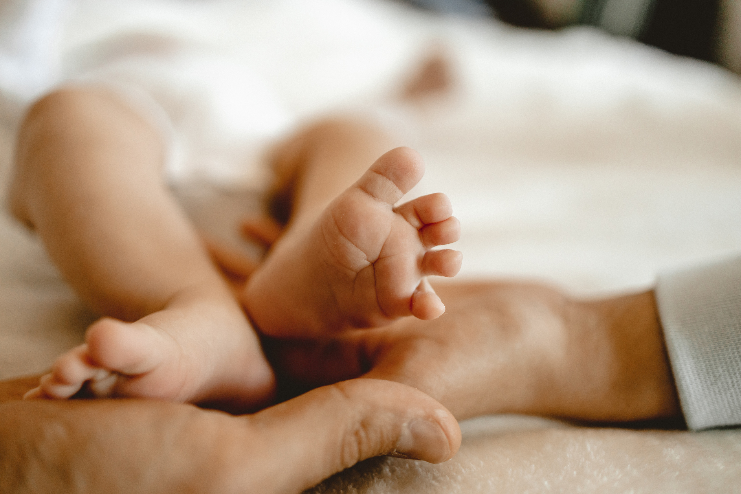 Маленький Давид. Фотограф в Германии — Мария Чистякова