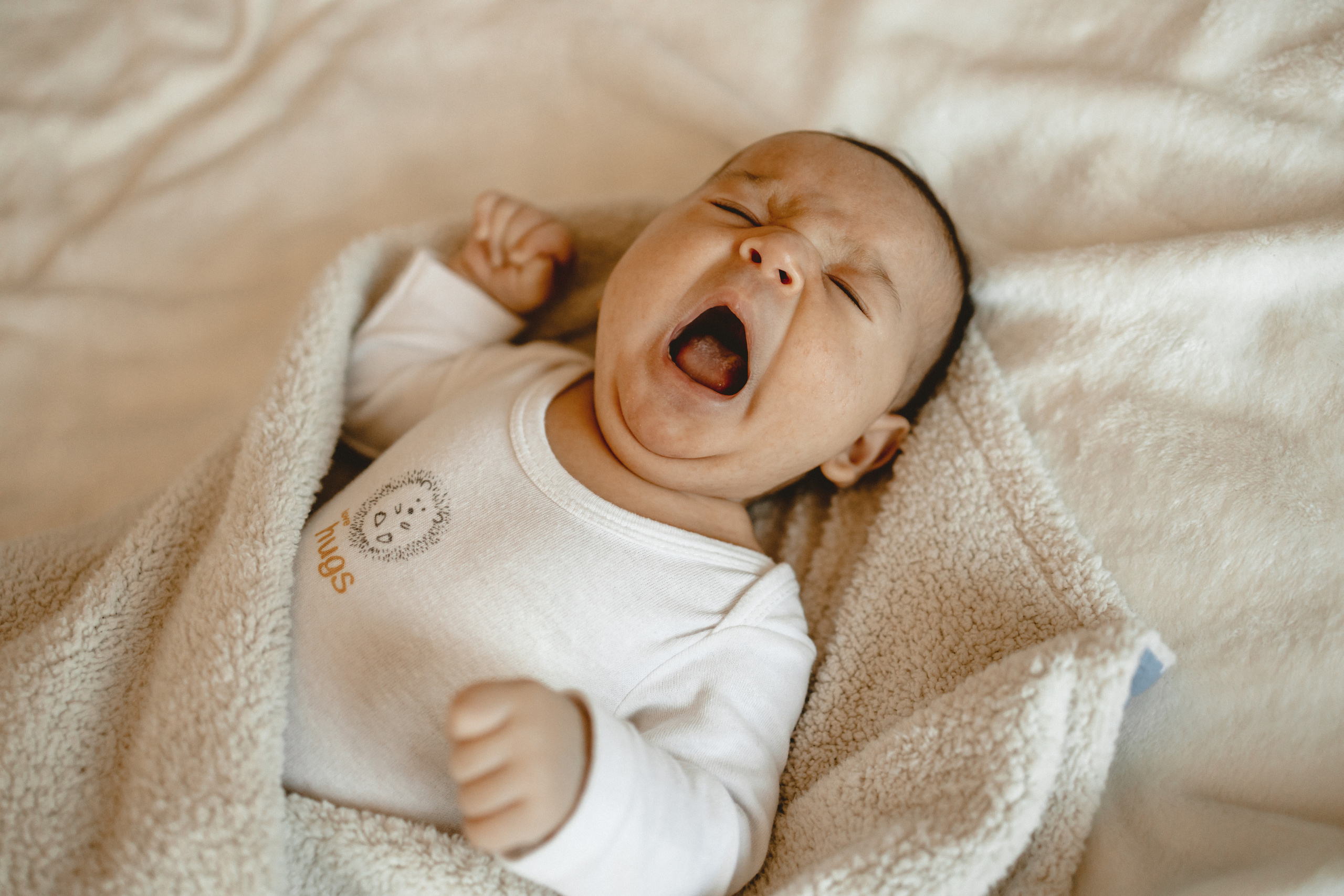 Маленький Давид. Фотограф в Германии — Мария Чистякова