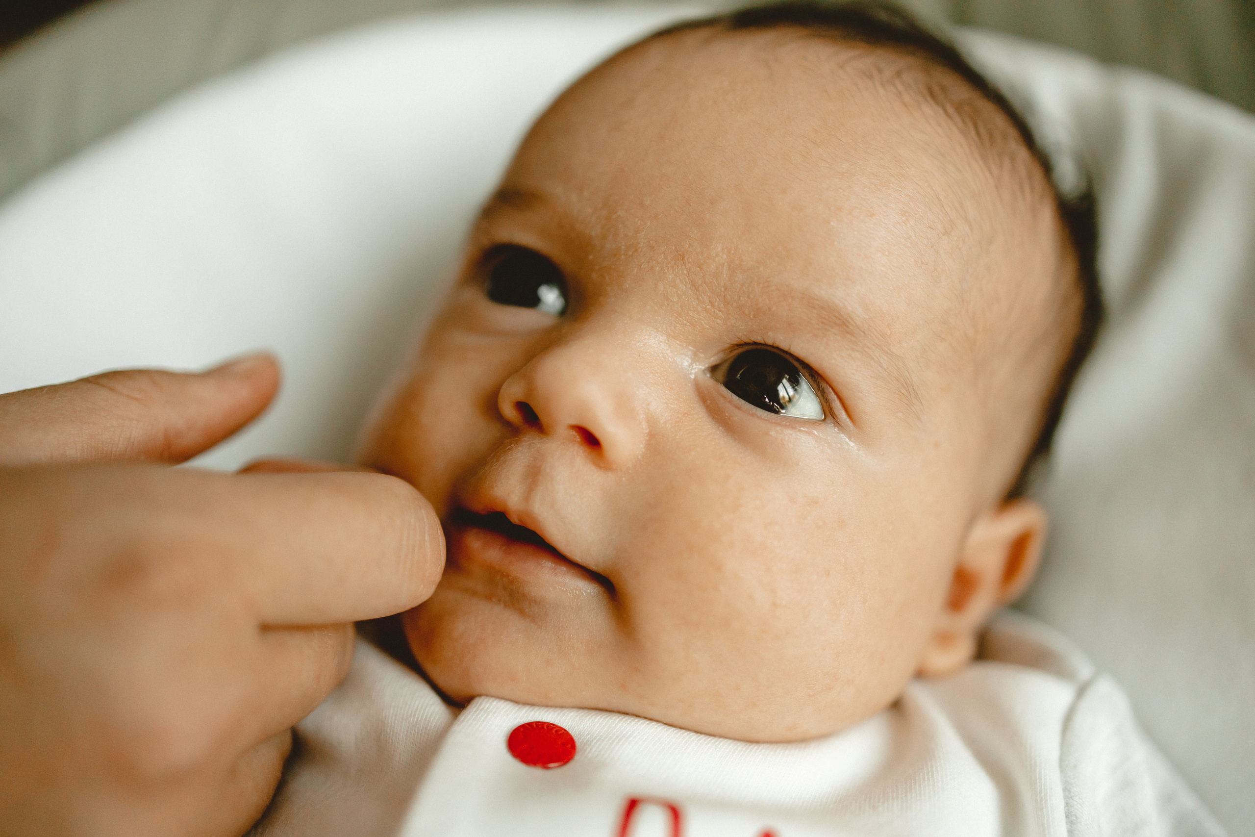 Маленький Давид. Фотограф в Германии — Мария Чистякова