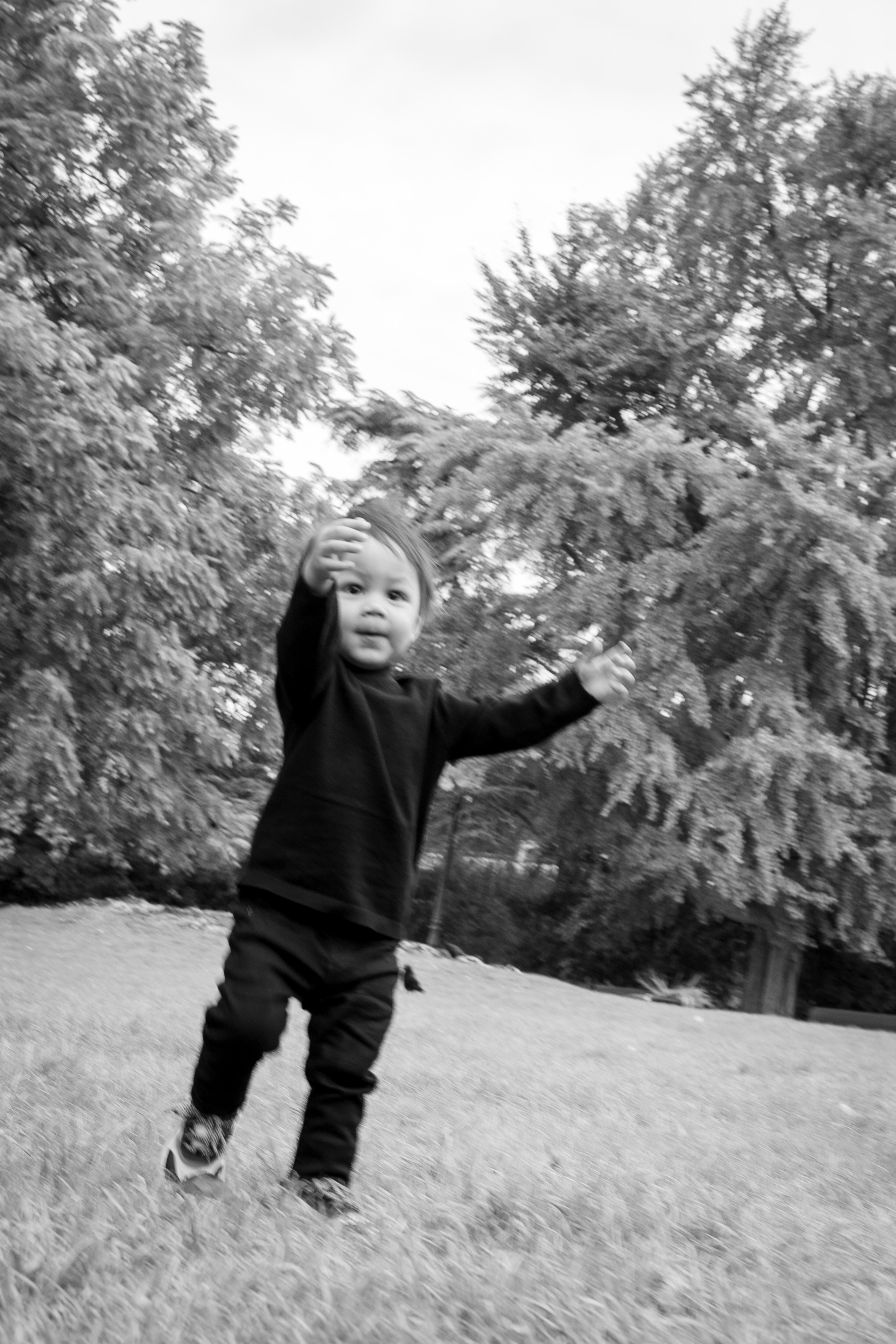 Families. Wedding and event photographer in guelph ontario canada Jessica Giovanni