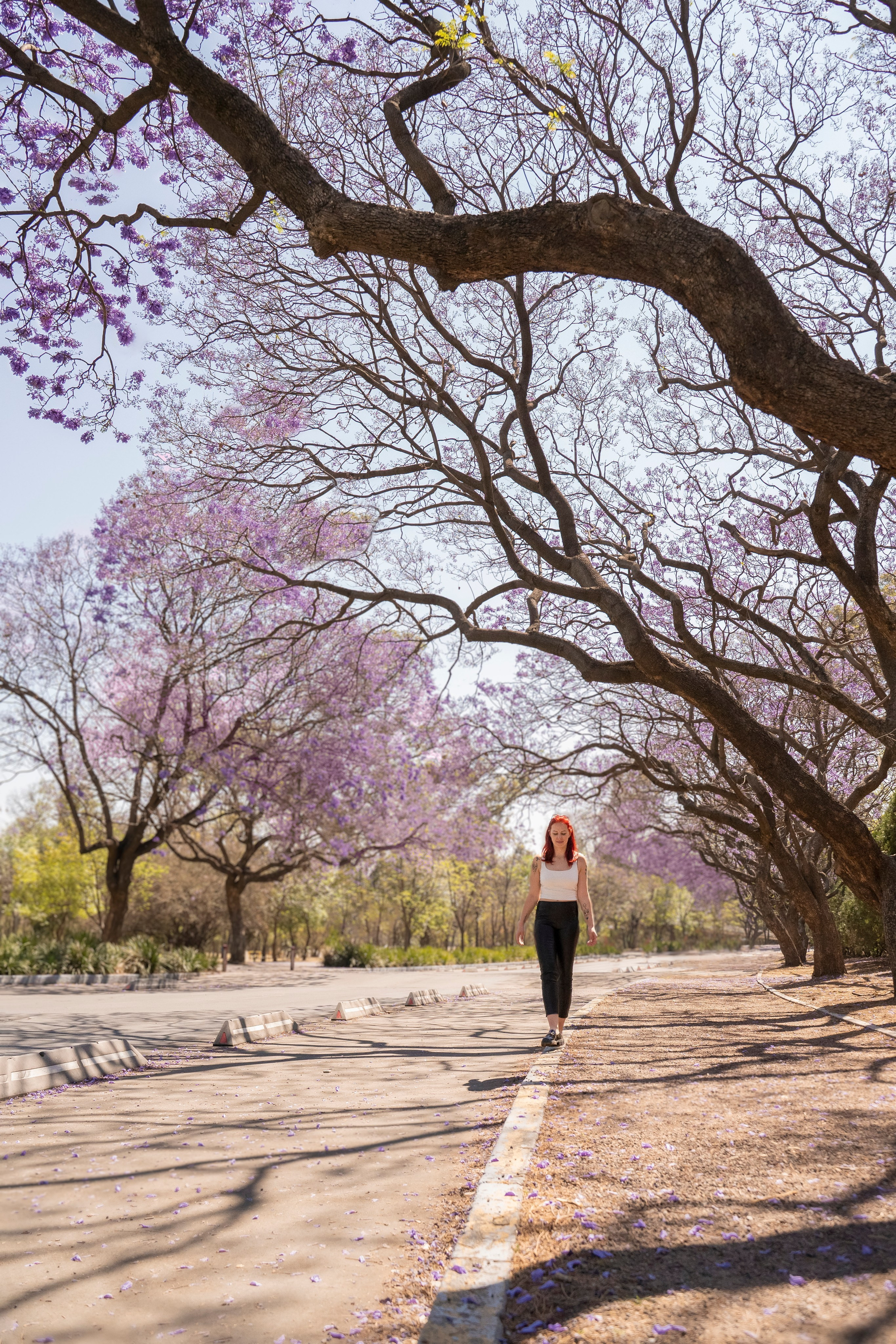 Photographer mexico cdmx. Catrina Frolova photography