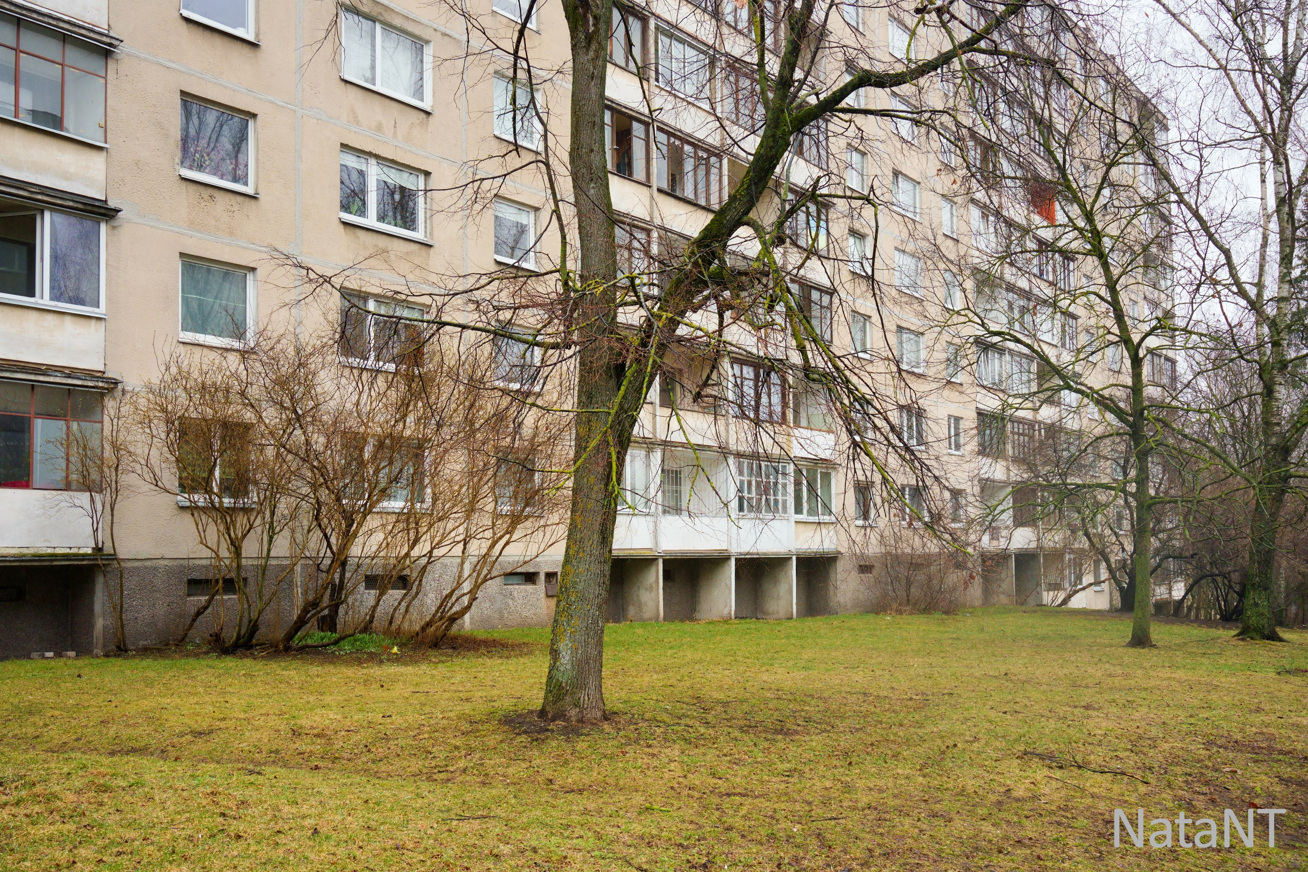 Žirmunų g. 113. Elina Sapiega fotografė Vilniuje