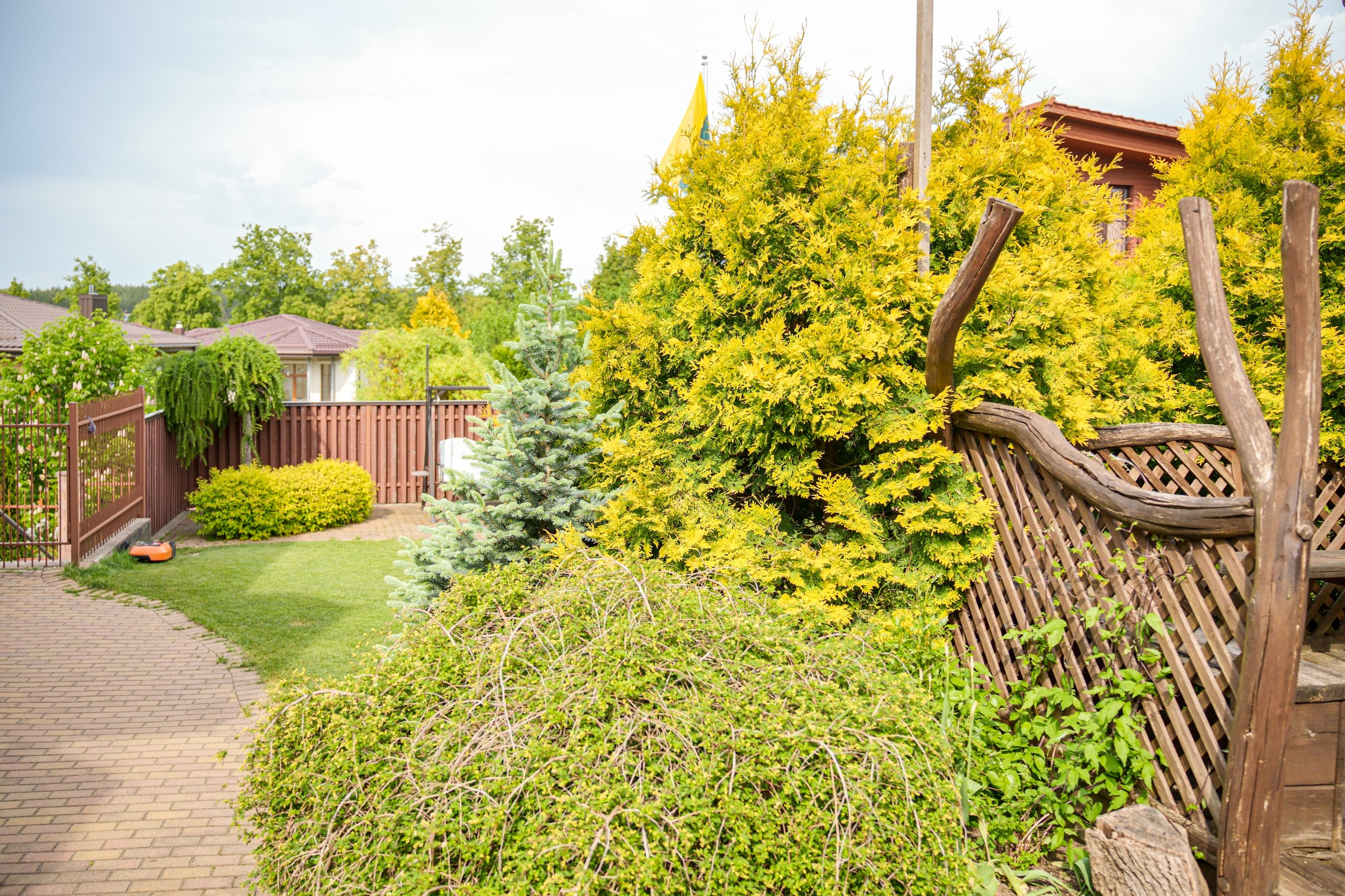 Viršupio sodų 1-oji. Elina Sapiega fotografė Vilniuje