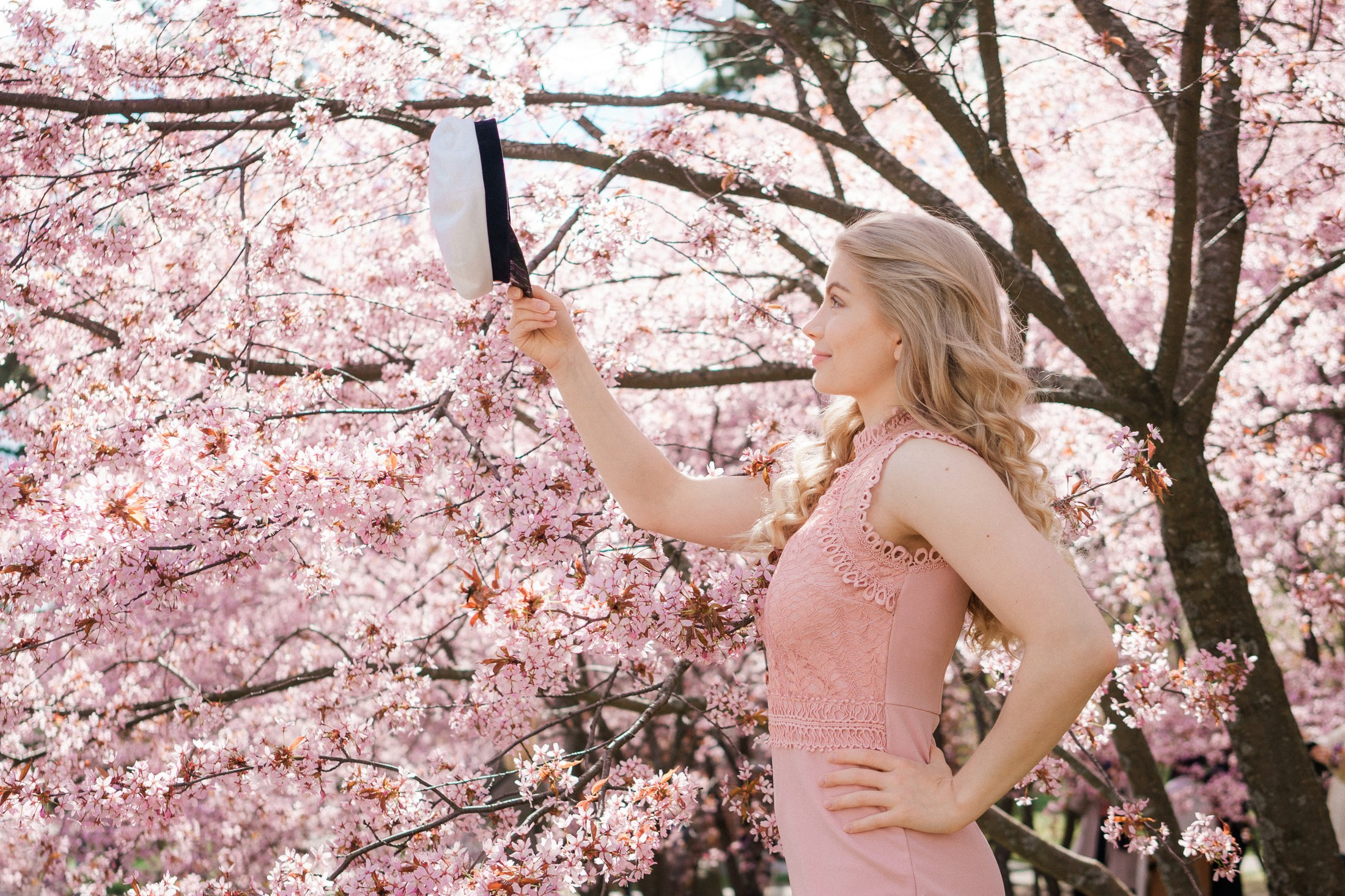 Rippi- ja ylioppilaskuvaus