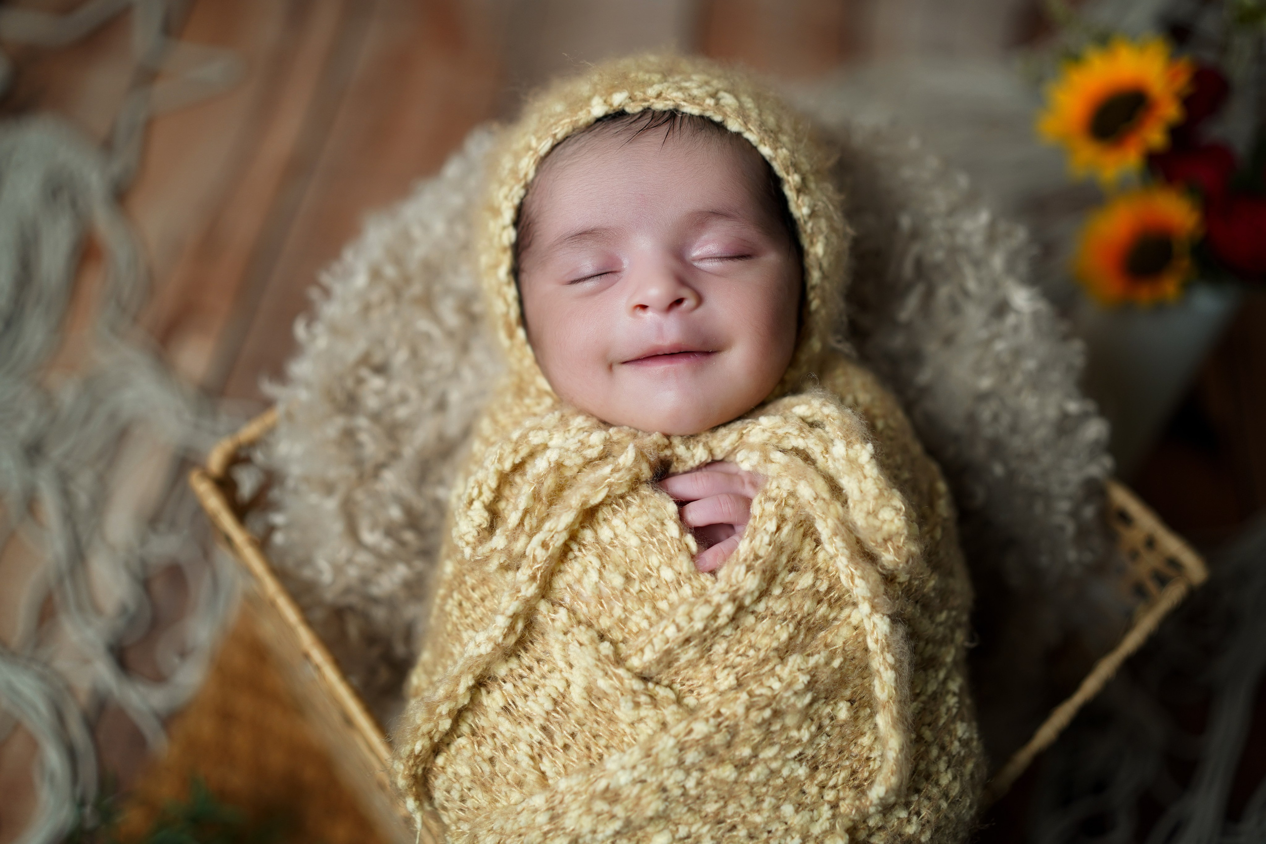 New born. TNF photo & filming