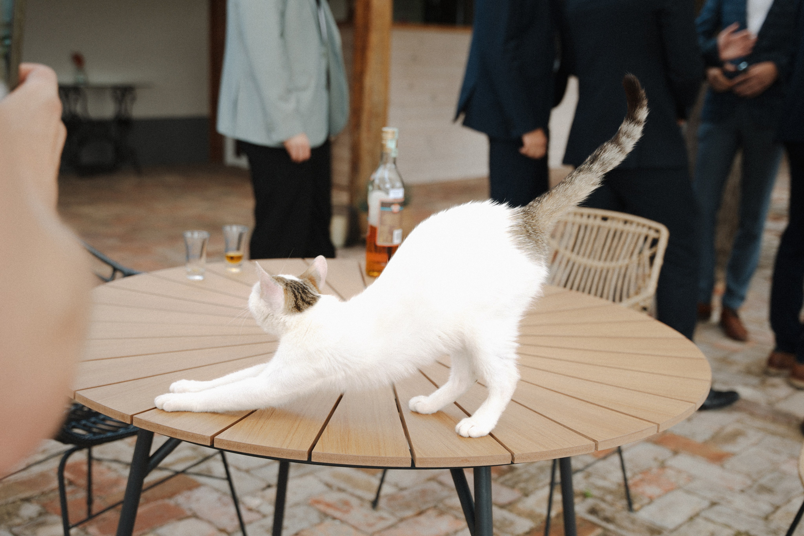 Alexa és norbi album. Csilla visuals