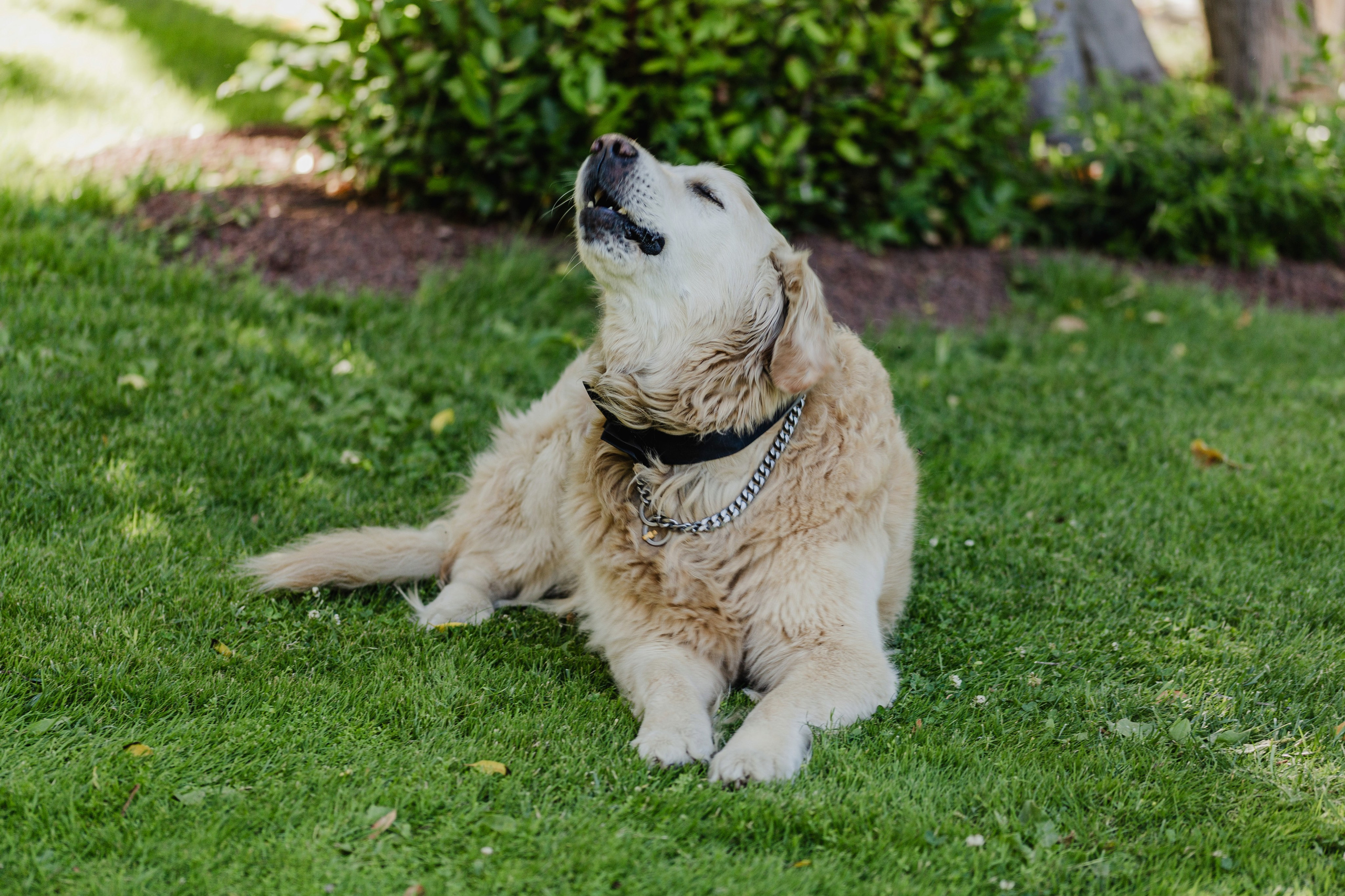 Fotografía de Bodas en Madrid - Rainbox: Capturamos Tu Amor con Pasión. Rainbox Estudio de Fotografía