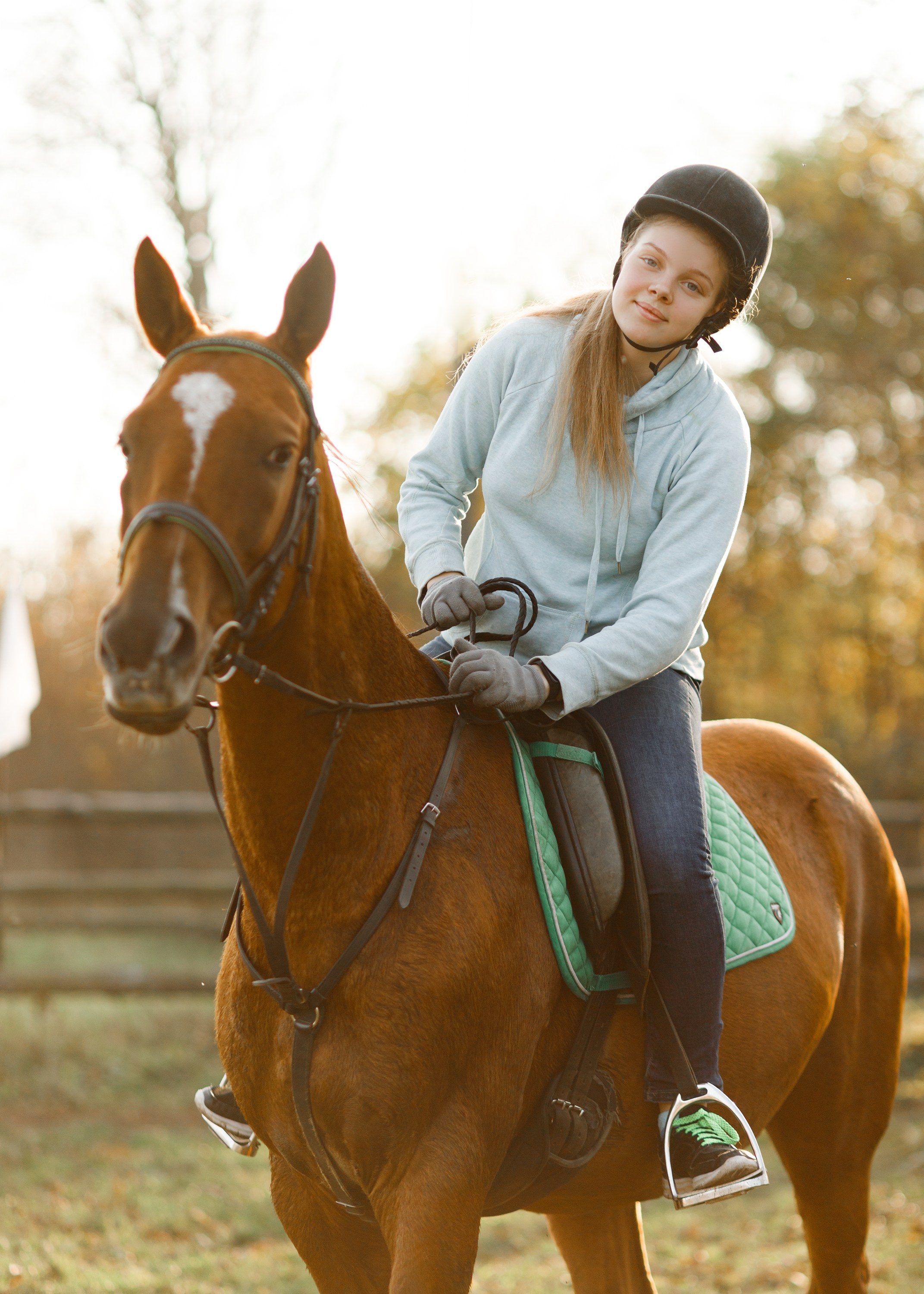 Autumn equestrian training. Kaja | fotograf psów we Wrocławiu