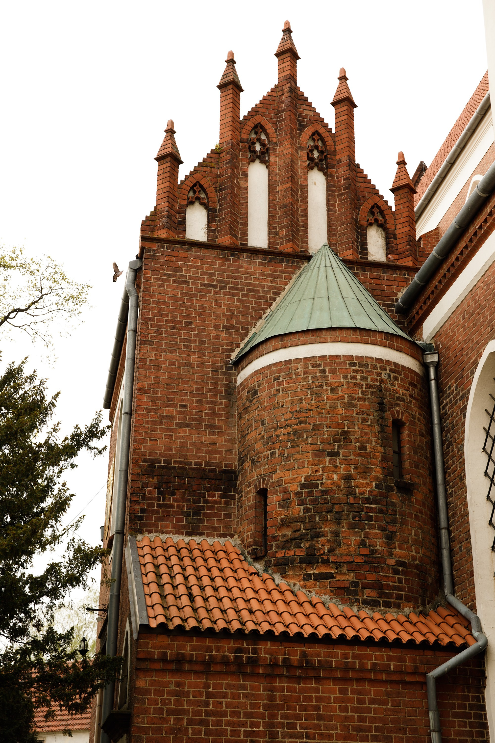 Oleśnica castle. Kaja | fotograf psów we Wrocławiu