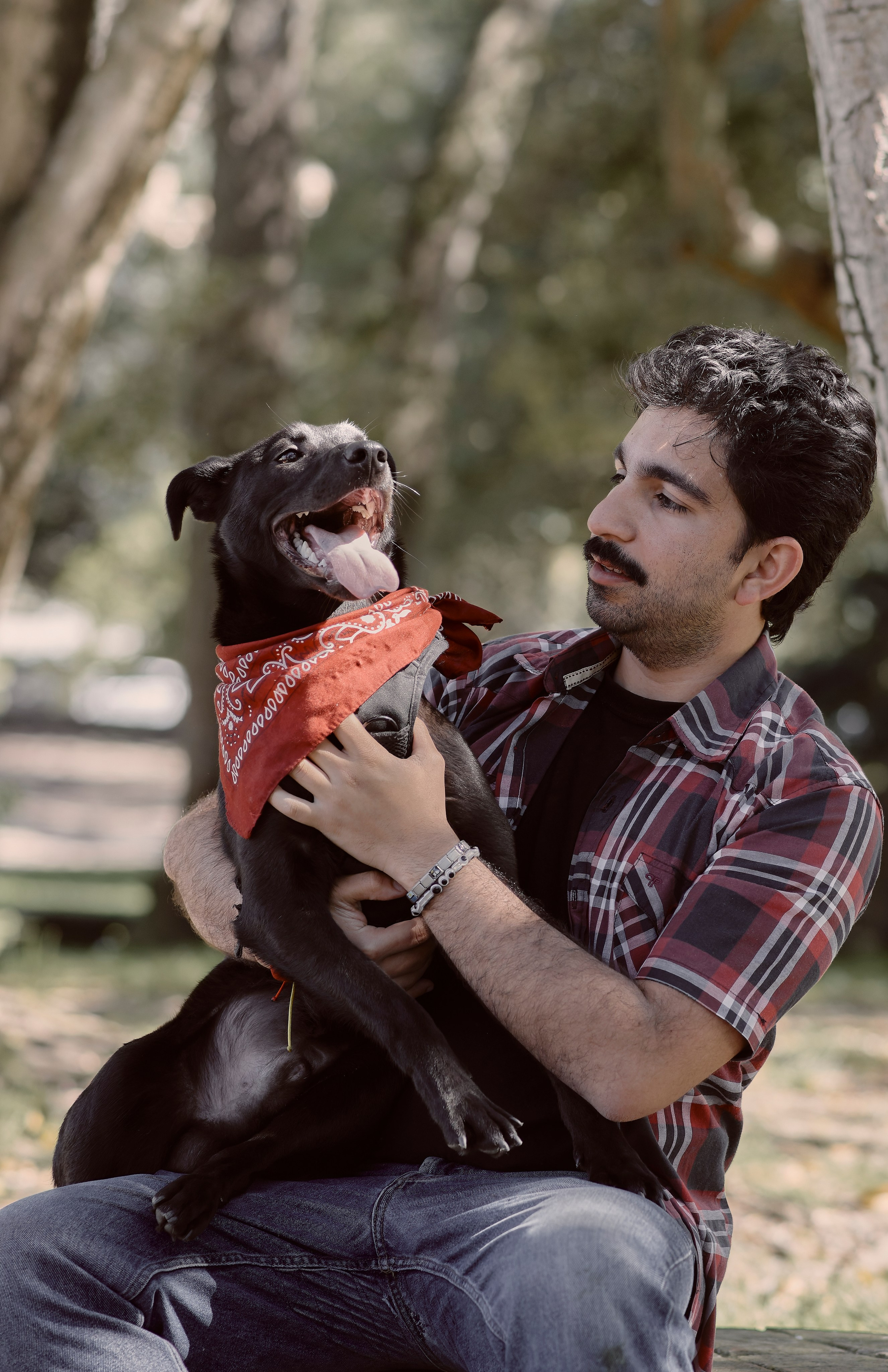Frankell & Ruben. Valssy – Fotografía de mascotas en Uruguay. Retratos profesionales de perros y gatos